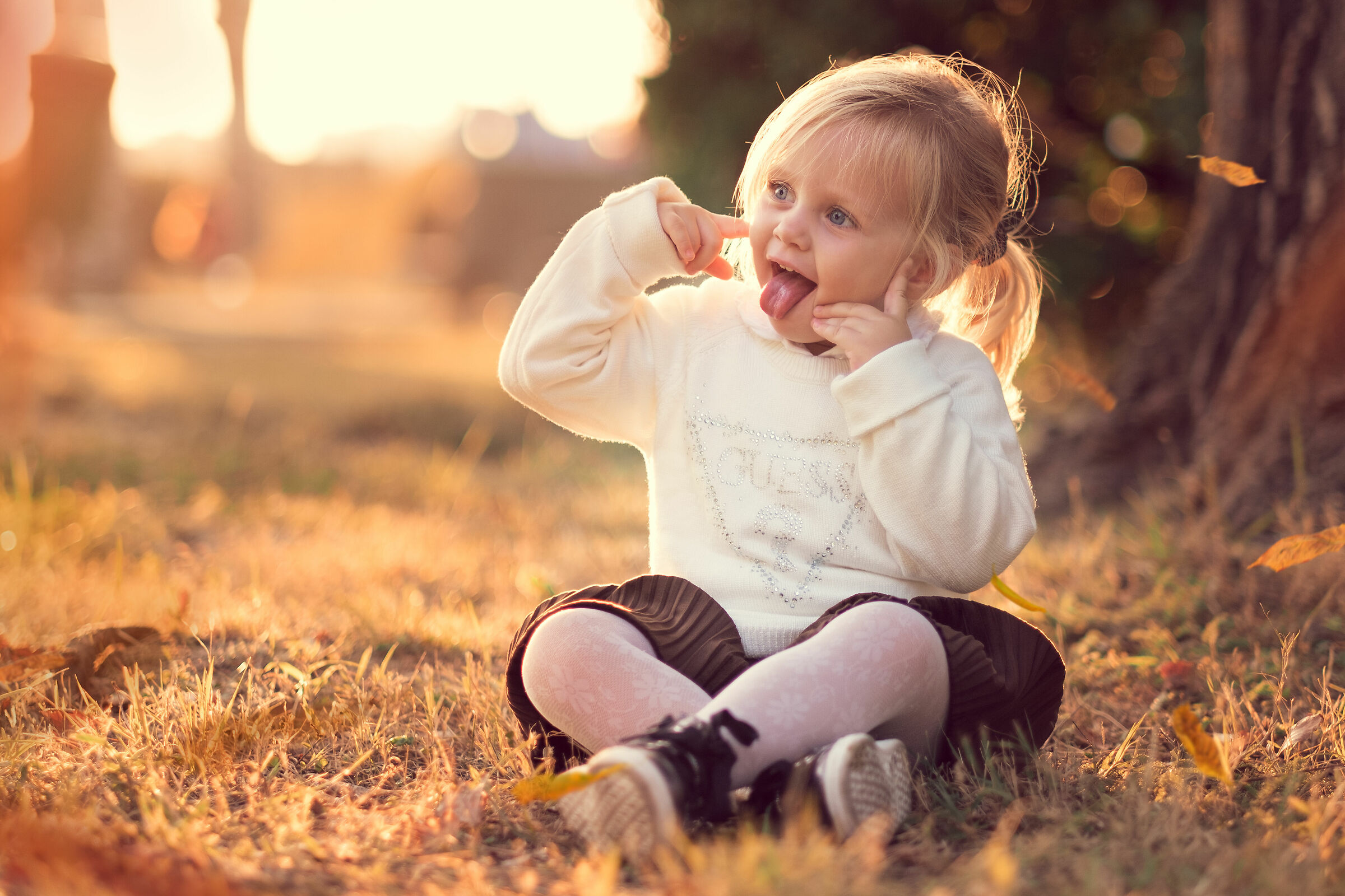 The colors of autumn