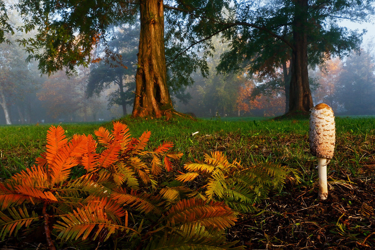 Inizio autunno sulle rive del lago di Varese