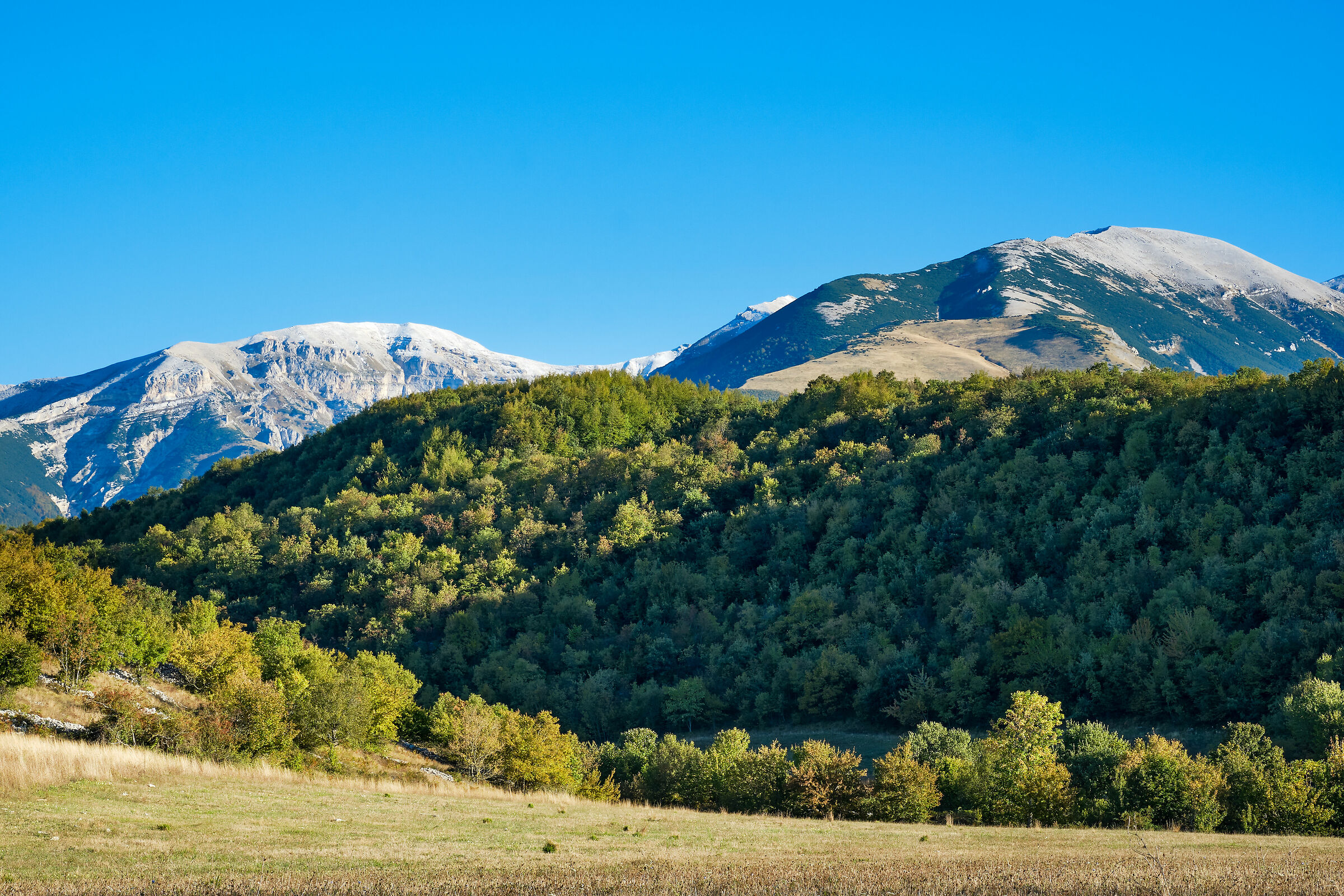 Giuementina Valley, at the foot of the Majella