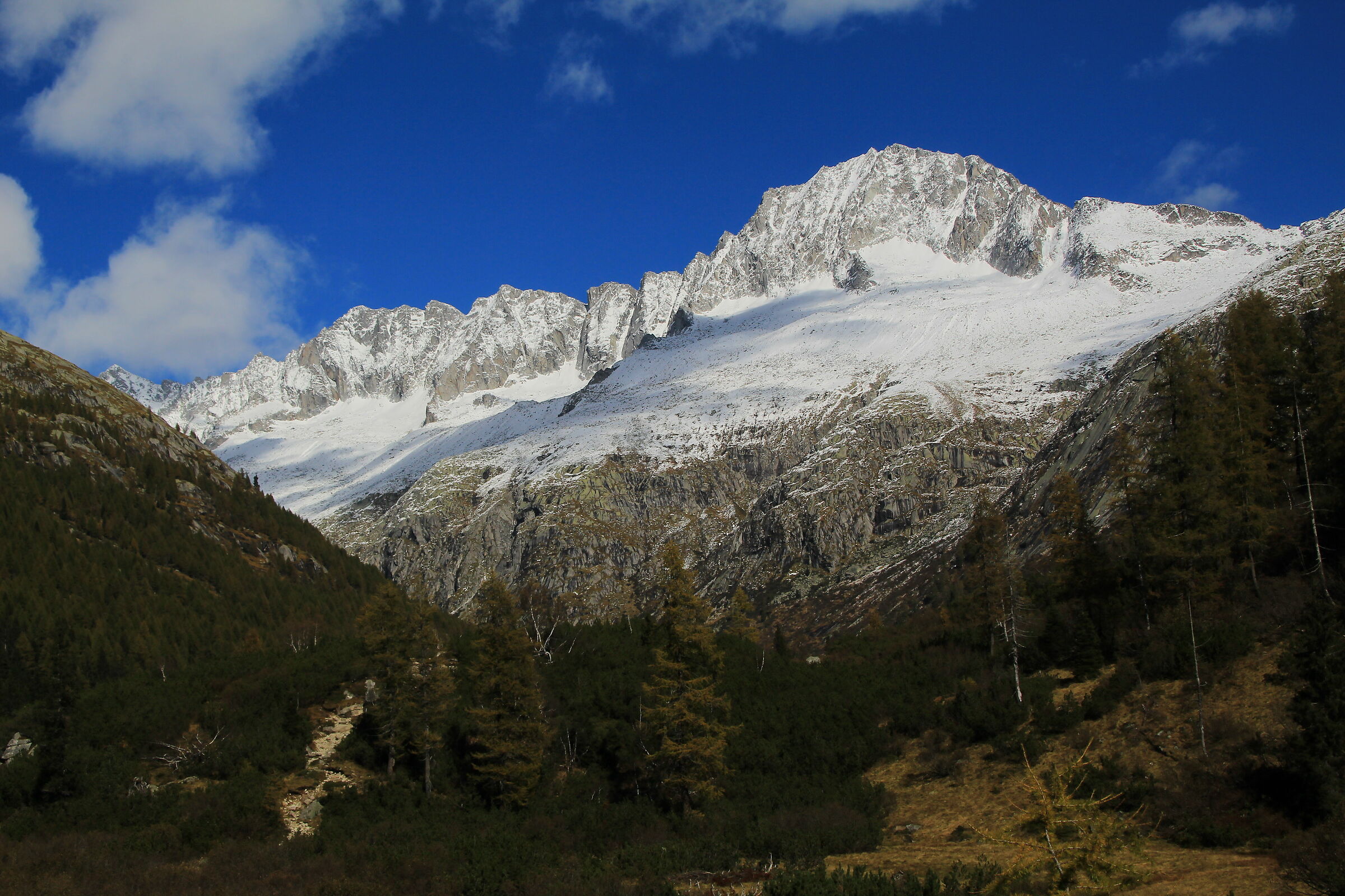 Carè Alto dalla val di Fumo