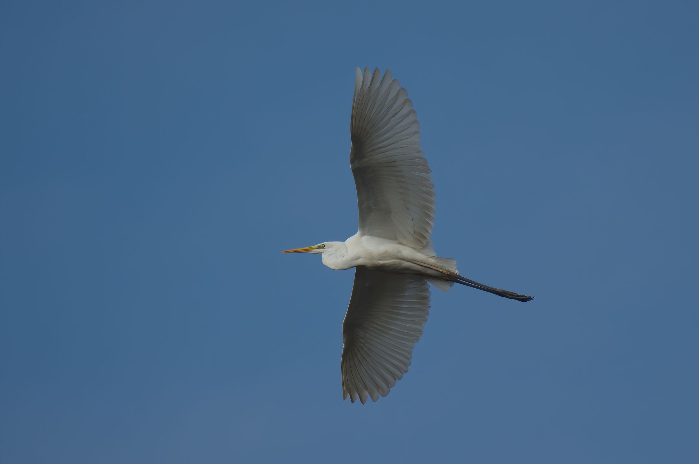 Il bianco nell'azzurro
