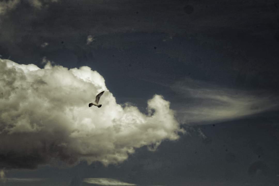 Brighton sky