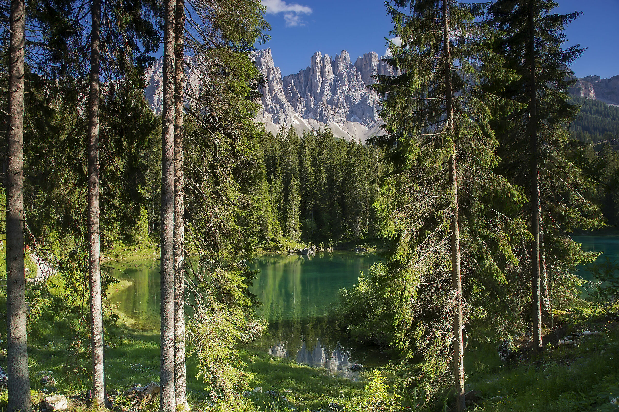 Un angolo di Carezza