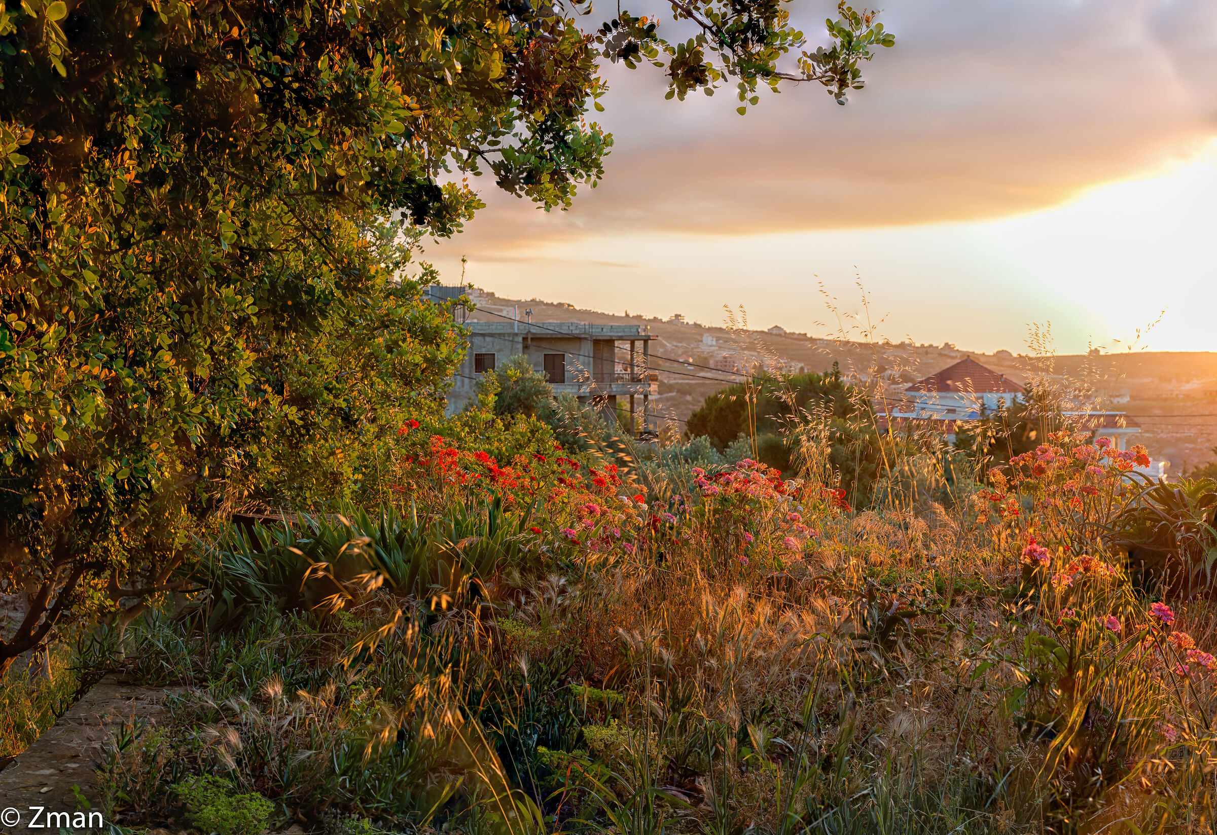 Tutto intorno al nostro posto