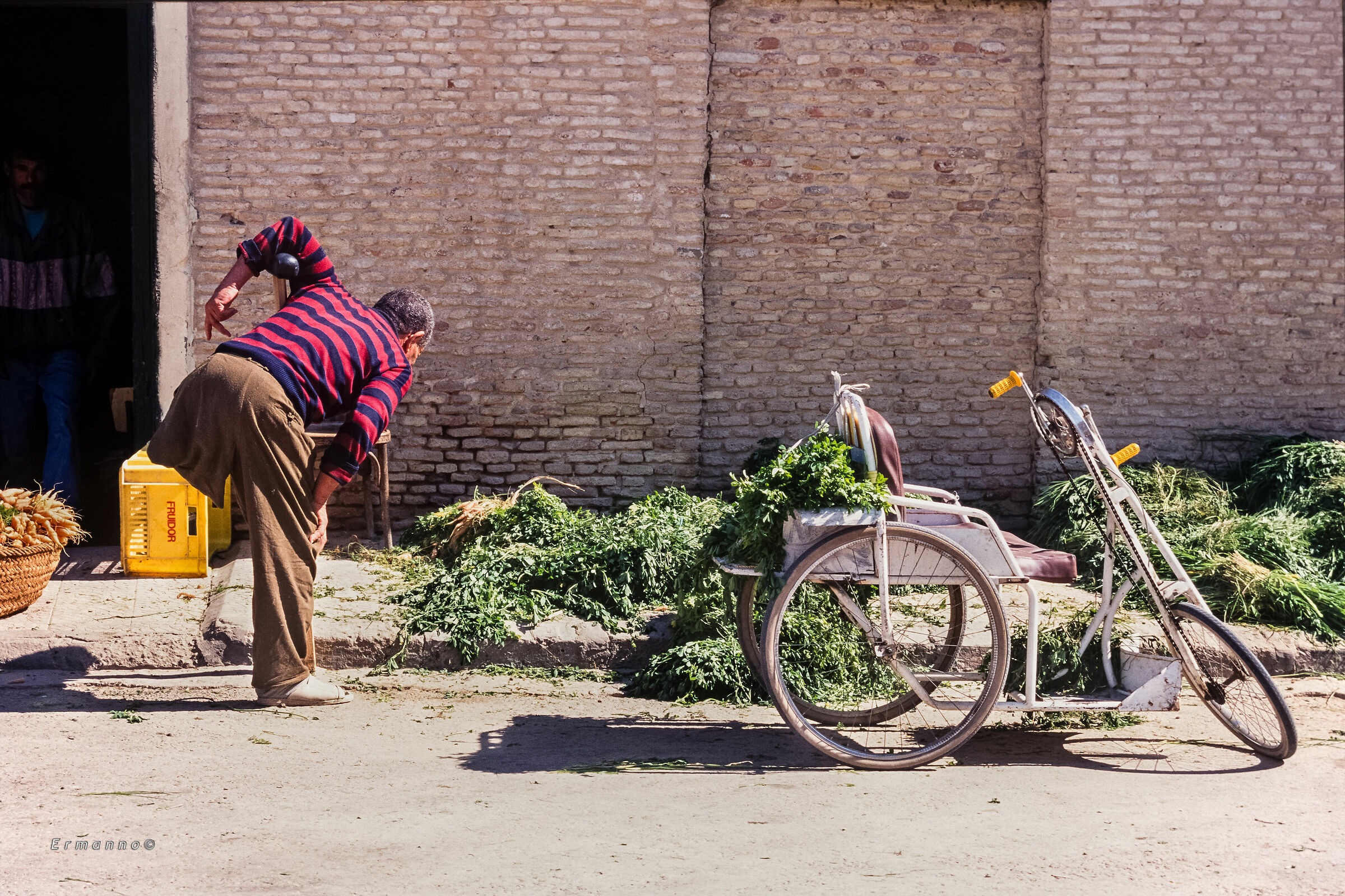 Isola di Jerba - Triciclo