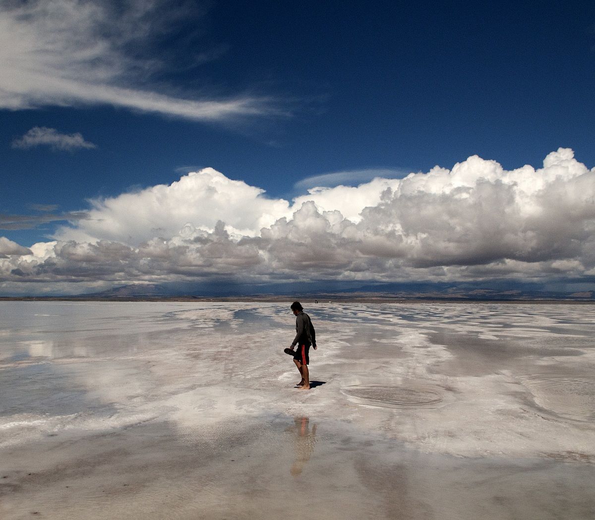Salar solitario