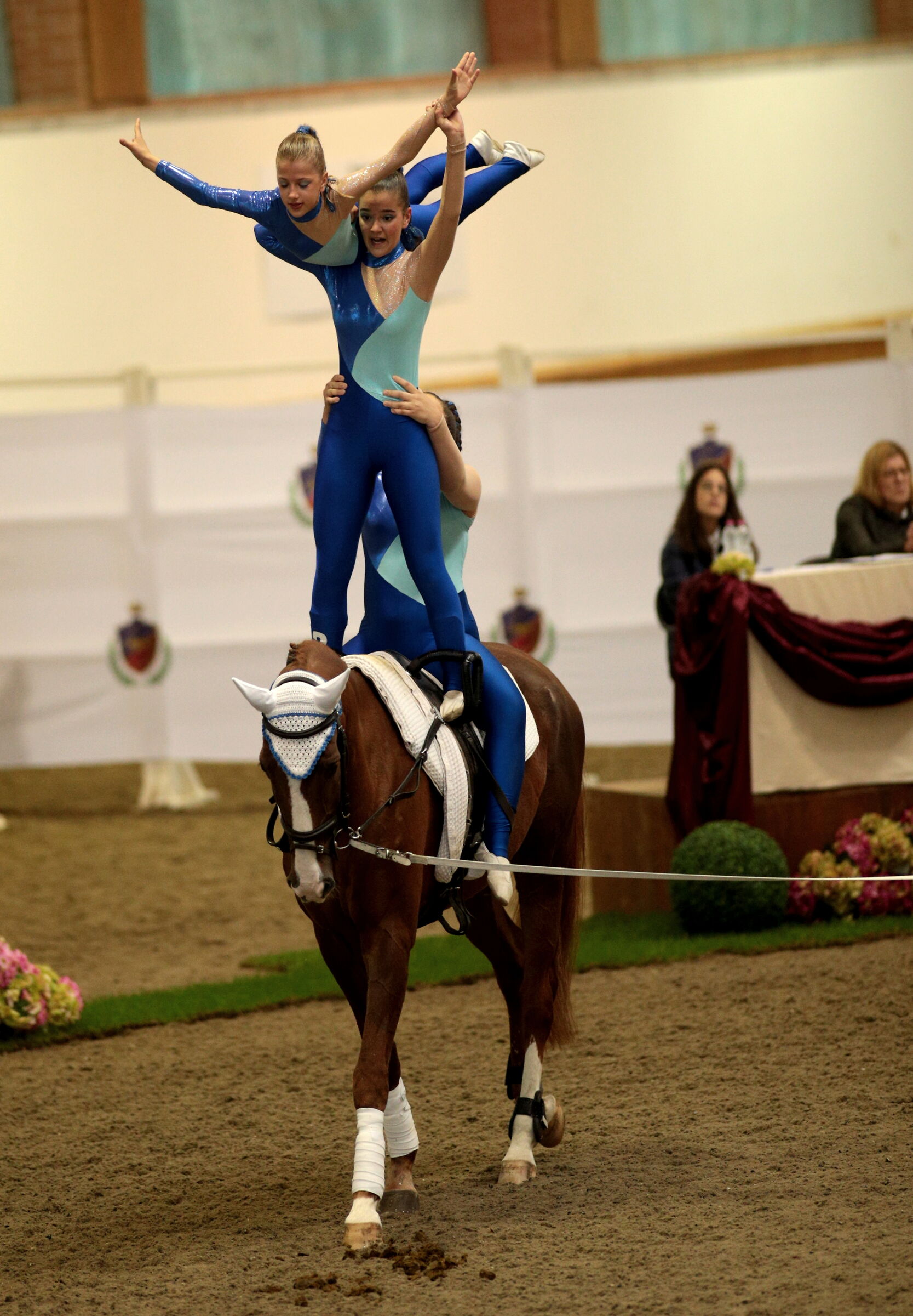 Piramide sul cavallo che cammina