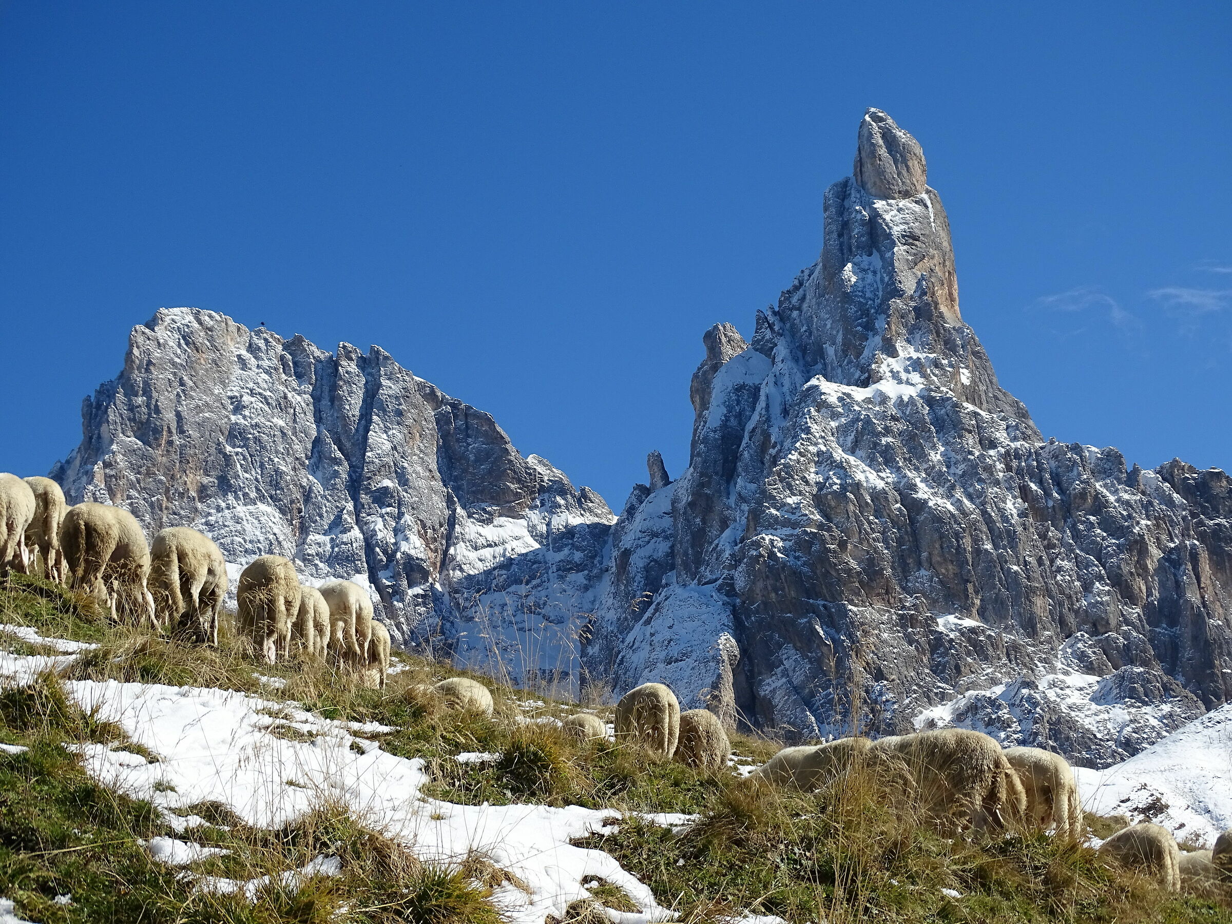 il pascolo piu' bello del mondo