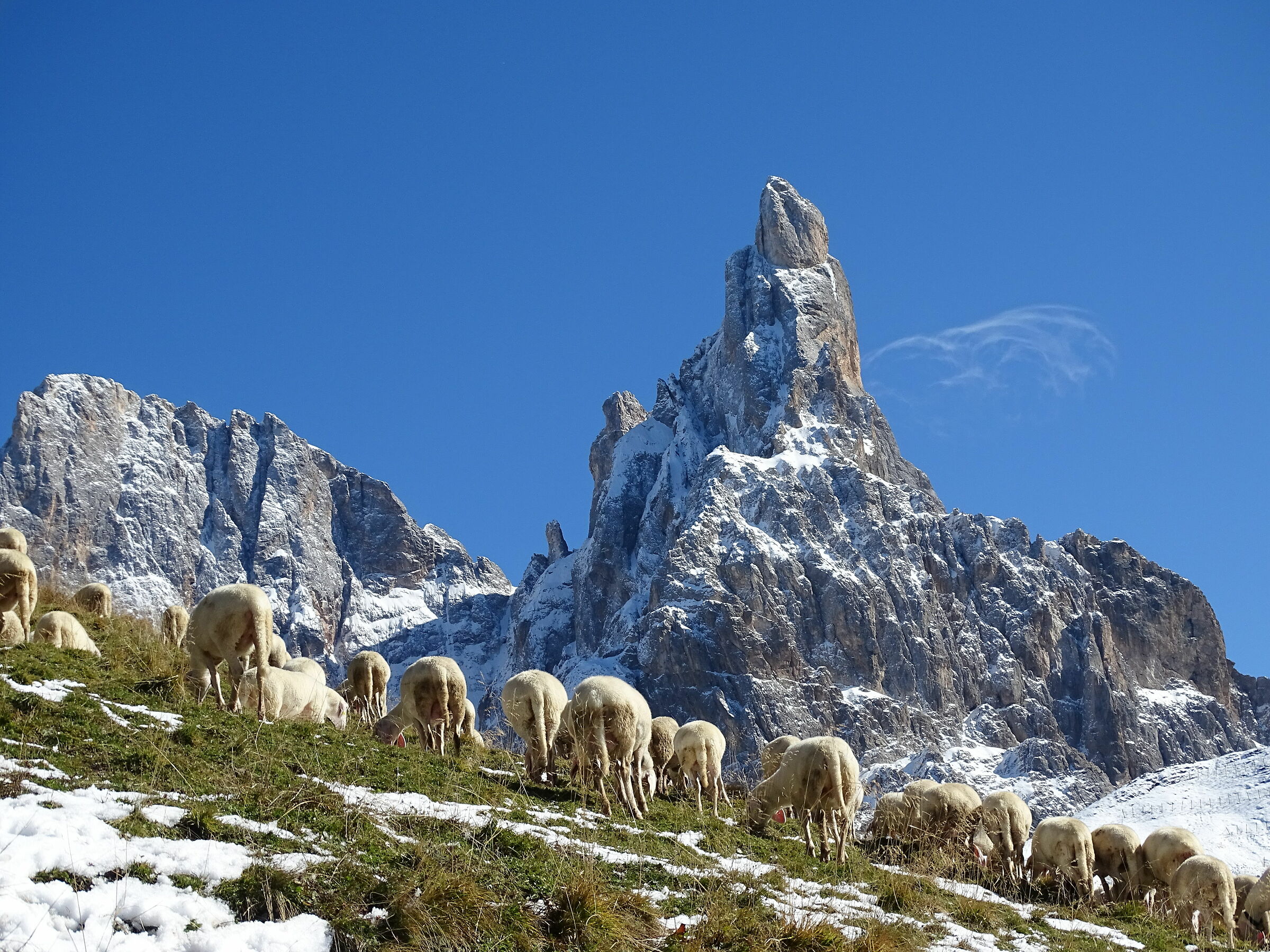 il pascolo piu' bello del mondo 2