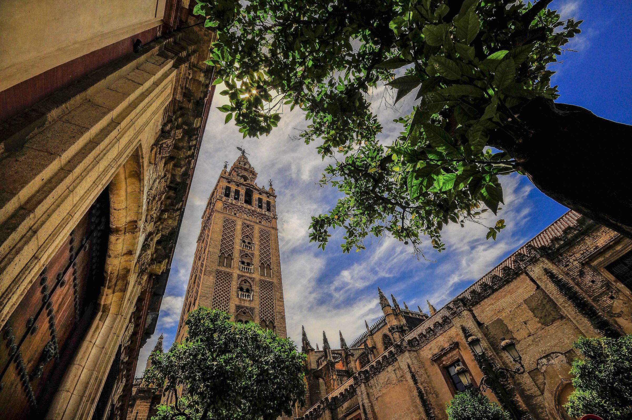 Seville Cathedral
