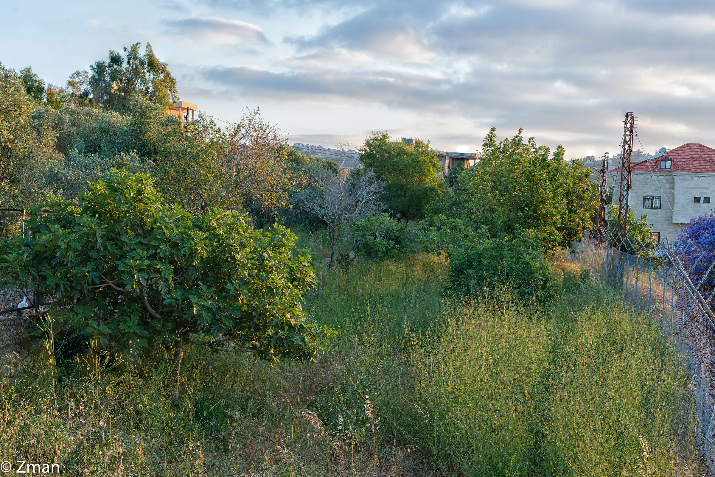 Tutto intorno al nostro posto