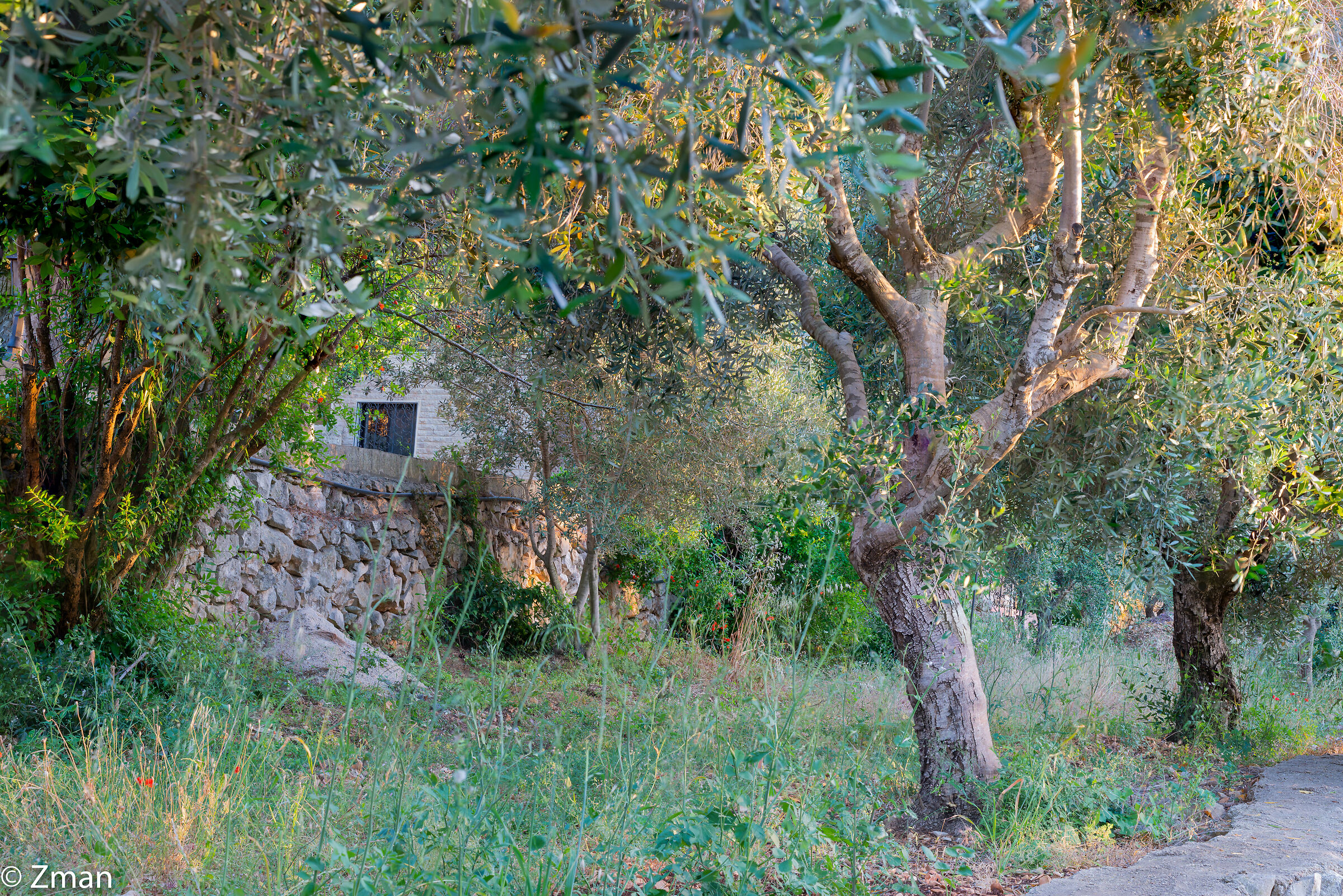 Tutto intorno al nostro posto