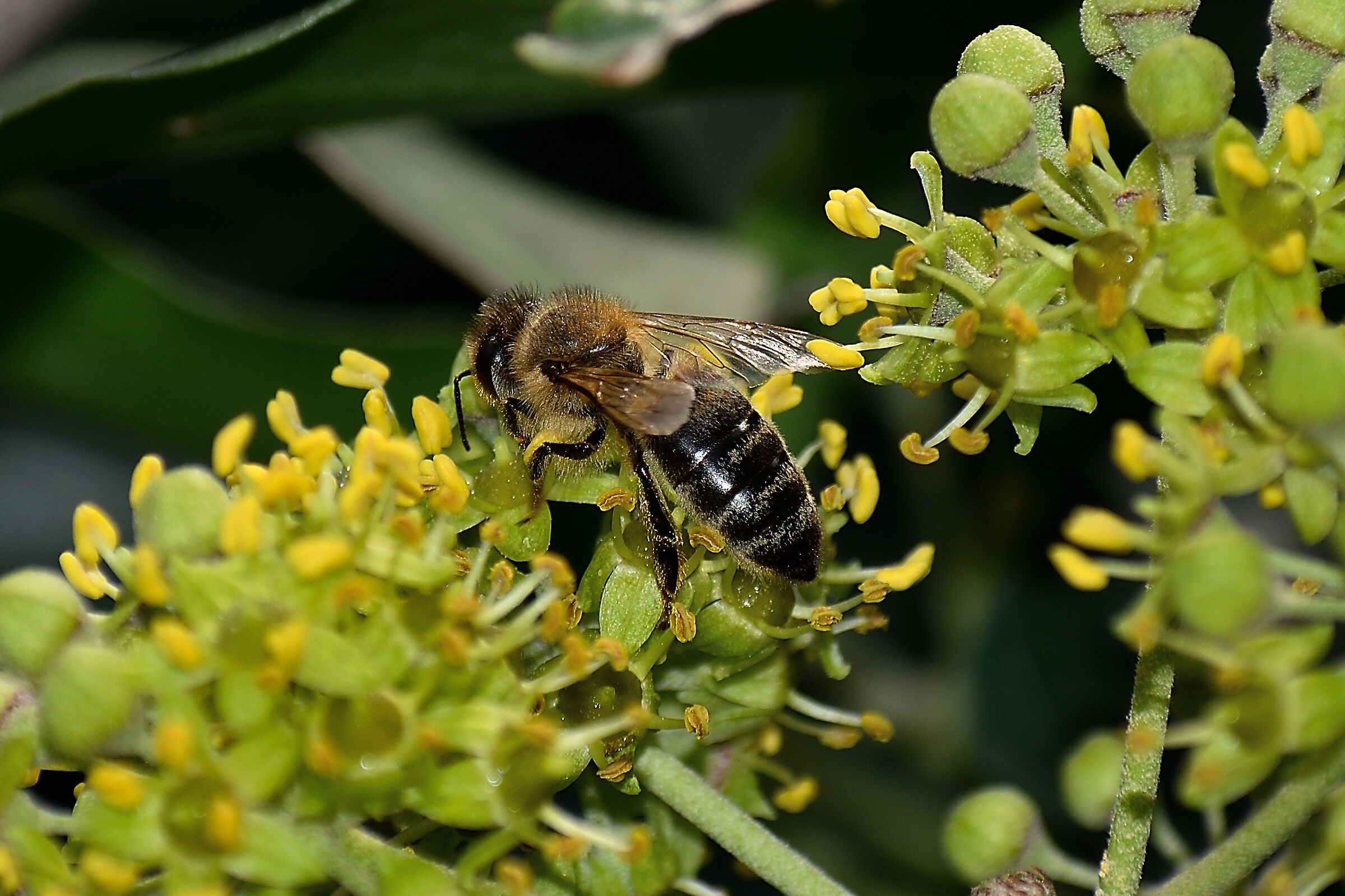 Ancora al lavoro nonostante la stagione
