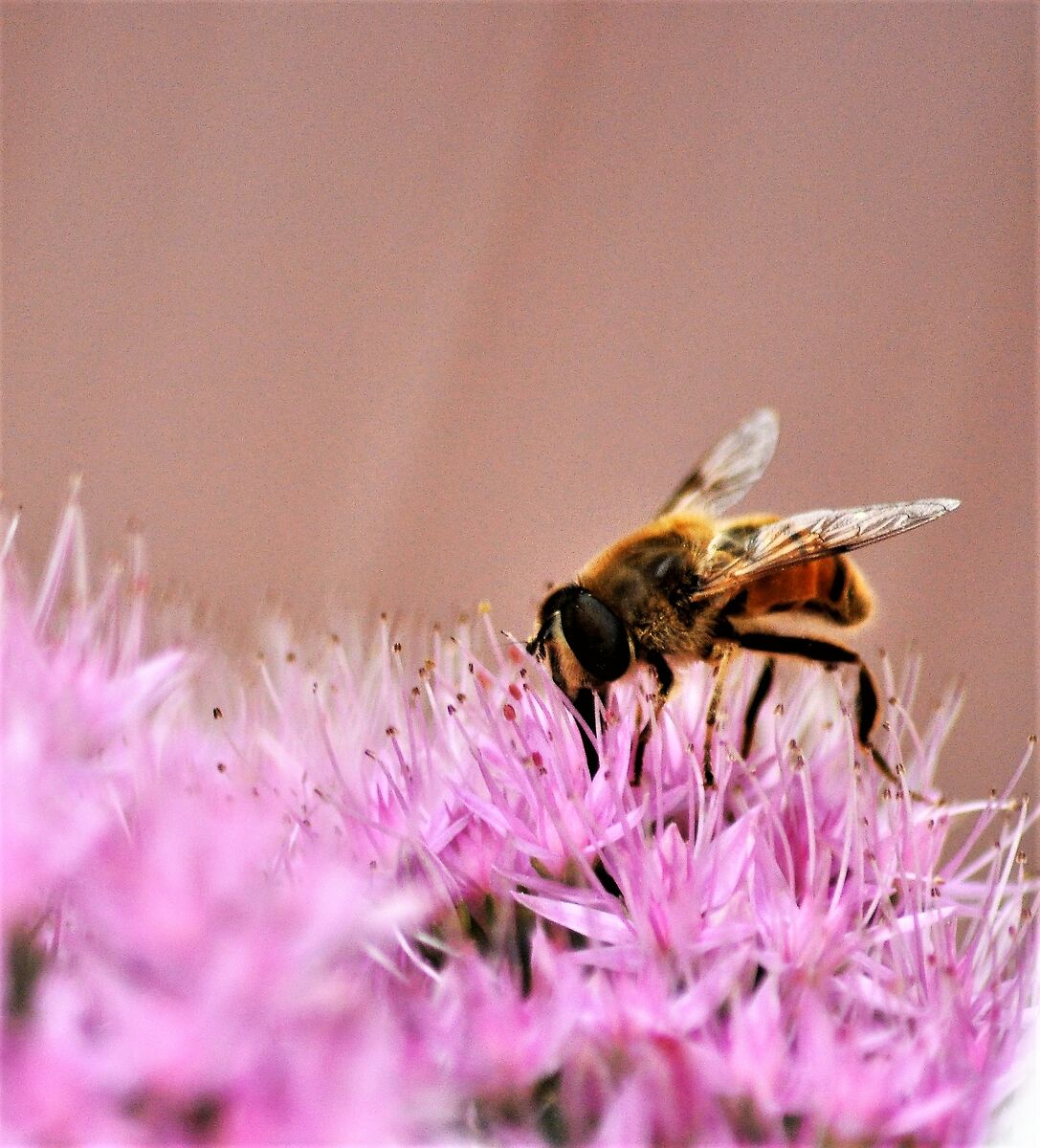 incontri ravvicinati