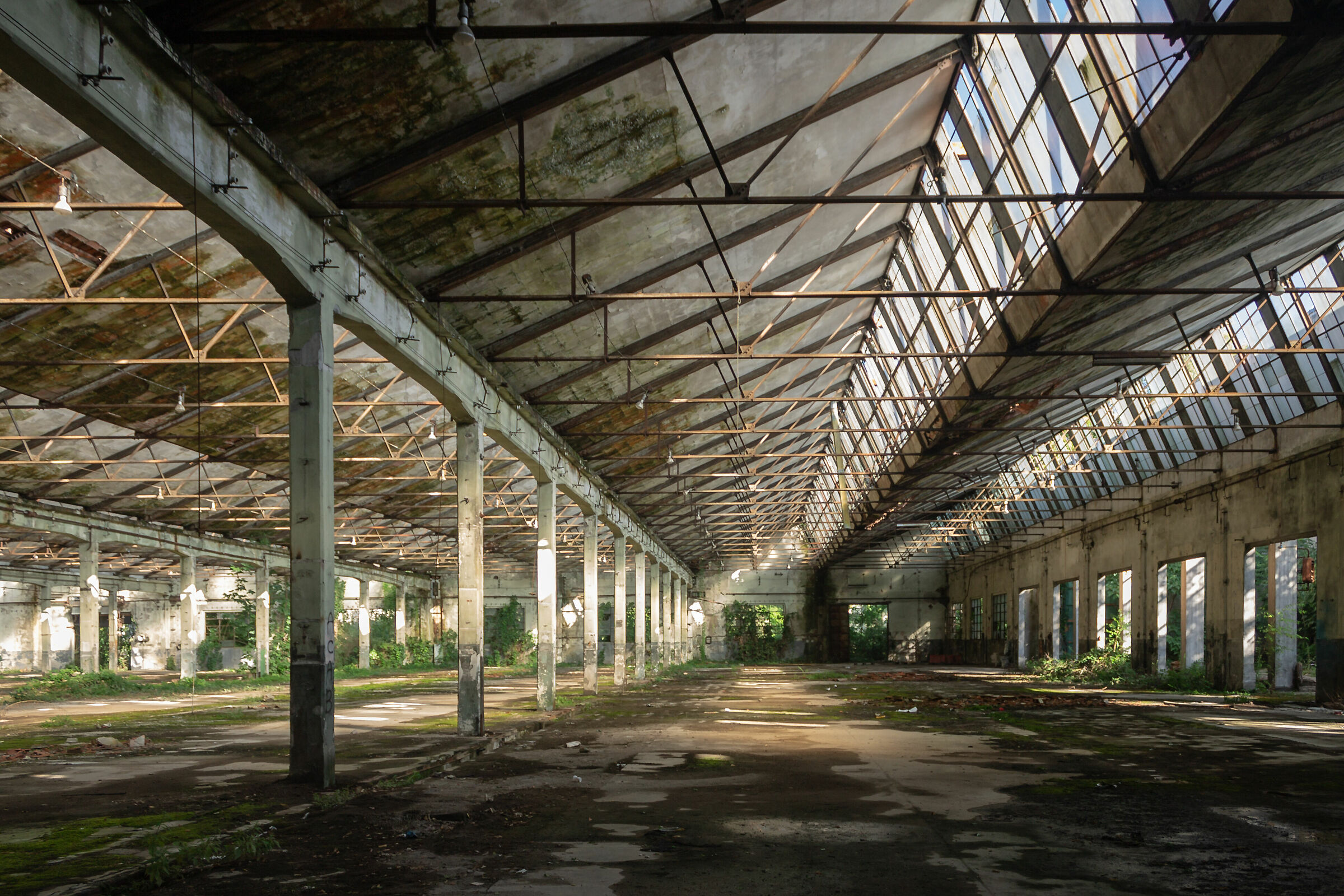 reparto produzione motori