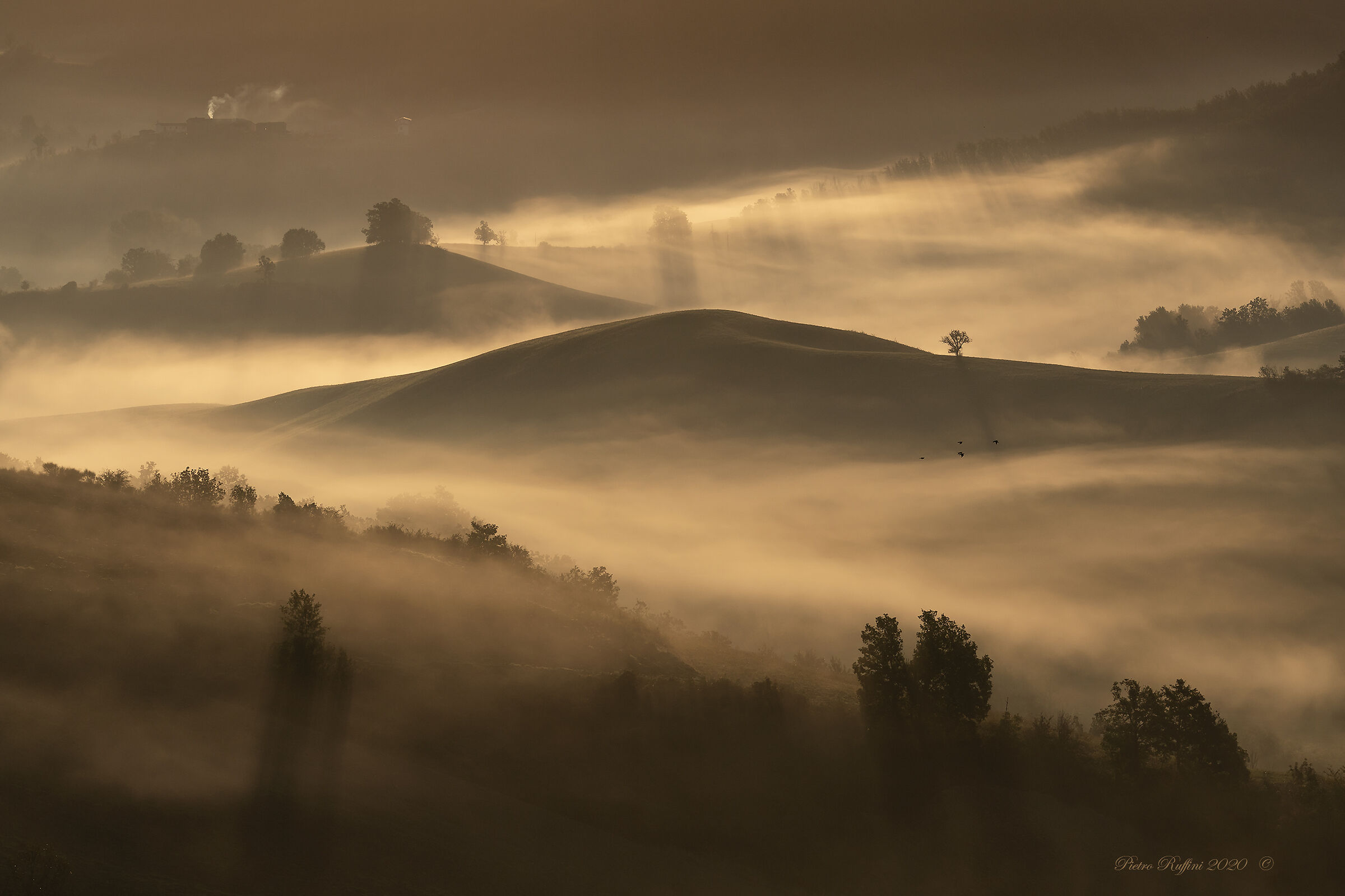 Autumn sunrise on the Tortonese hills