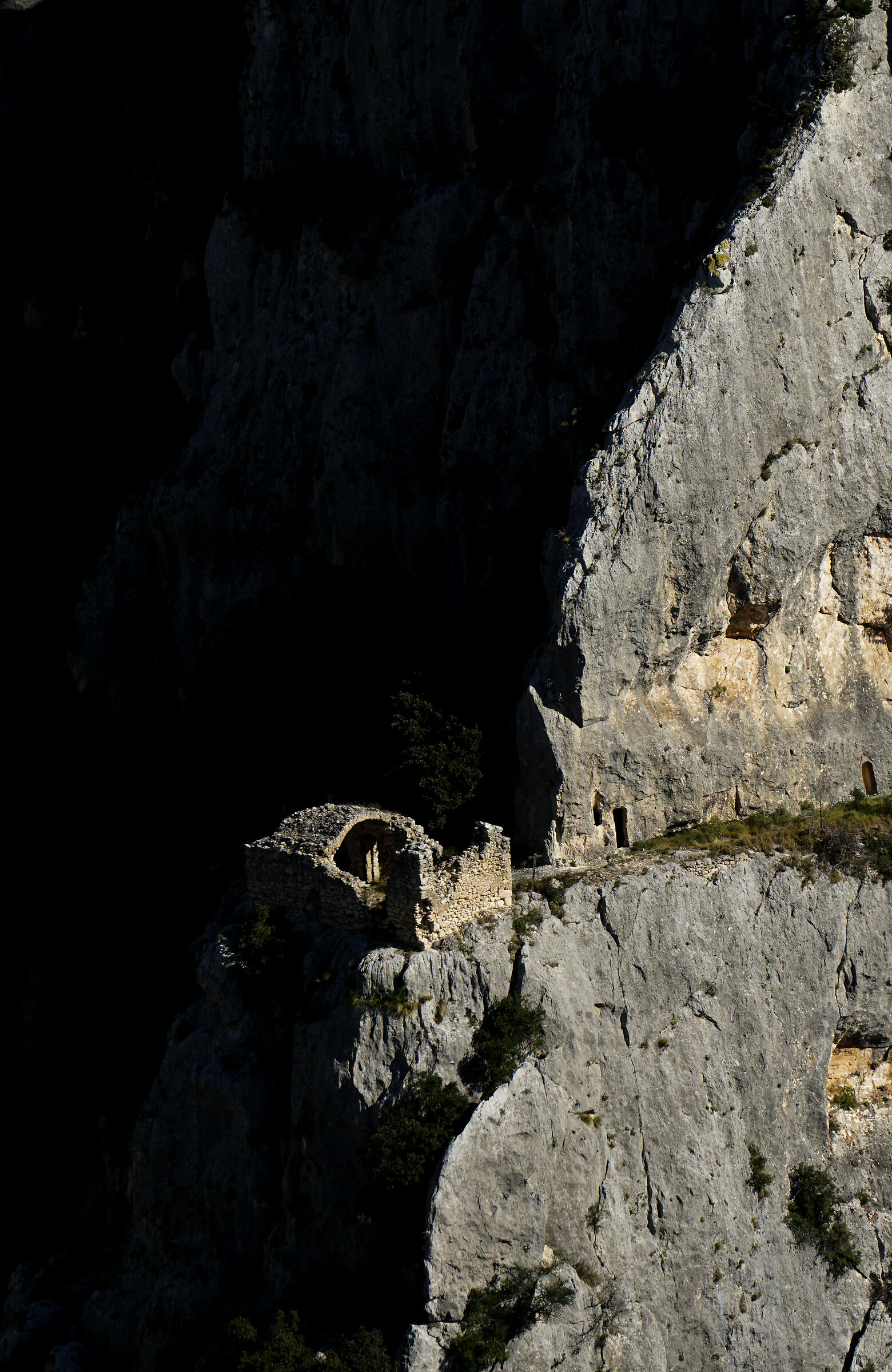 Rondinella Hermitage