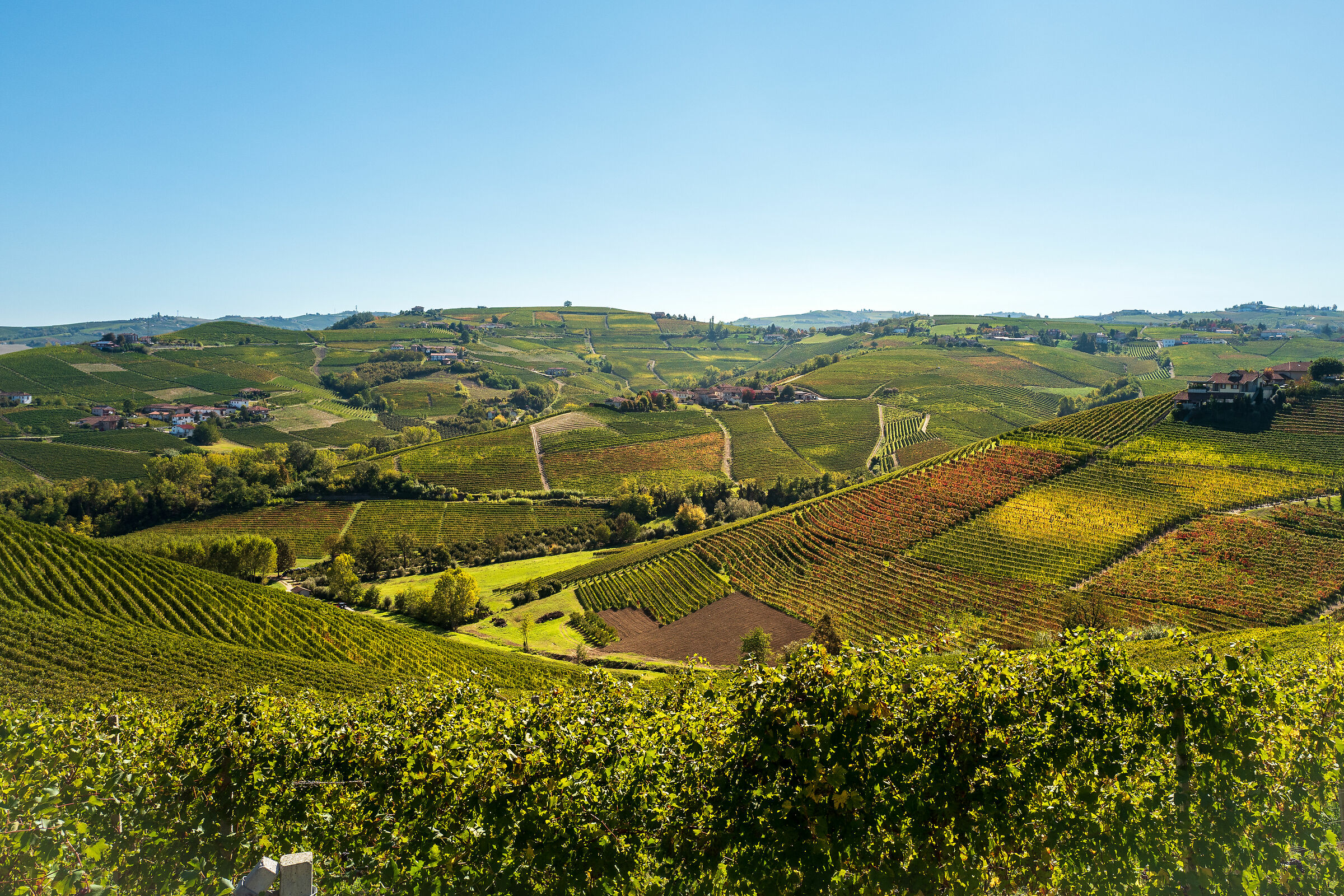 Le Langhe