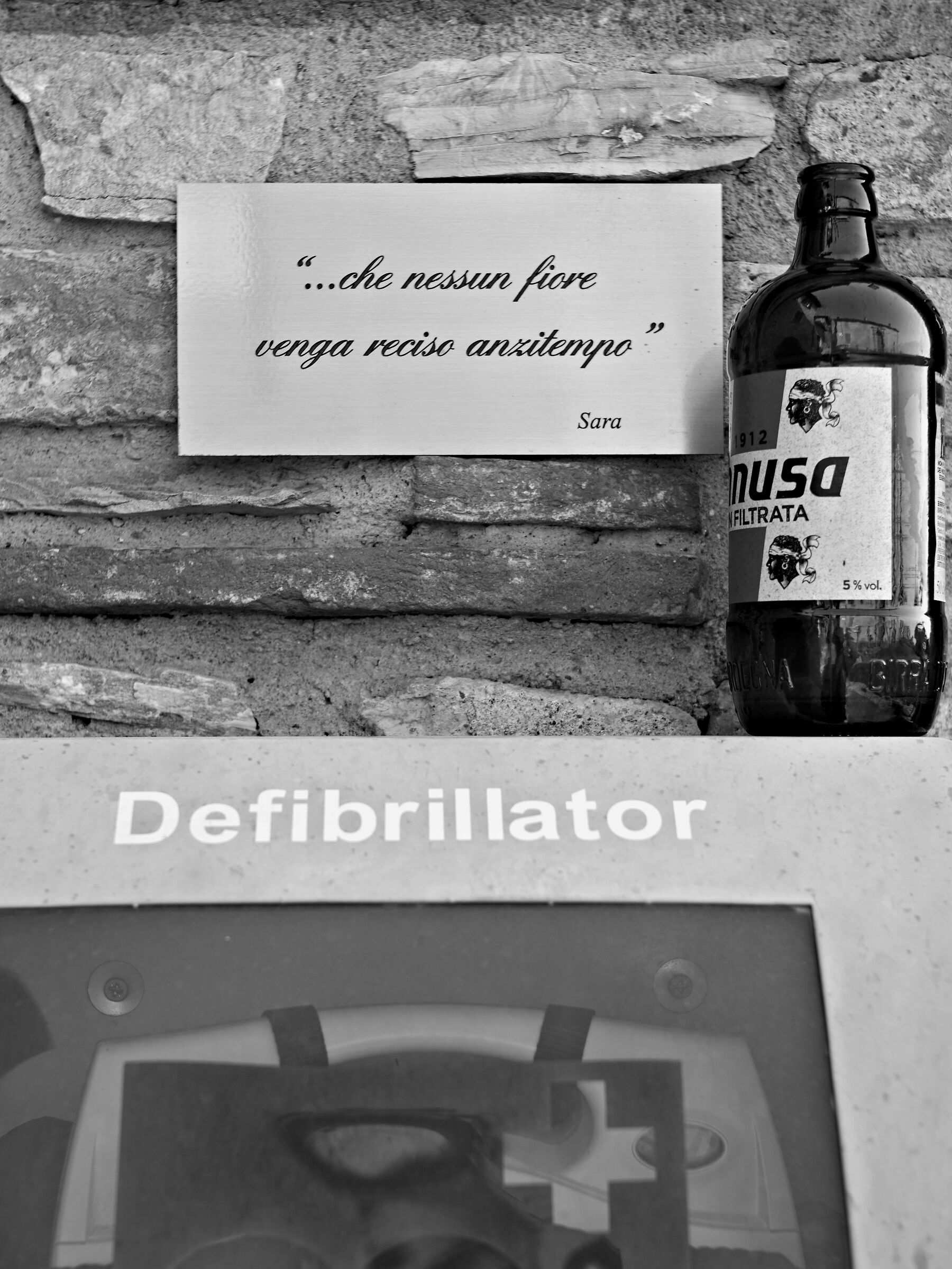 Il defibrillatore