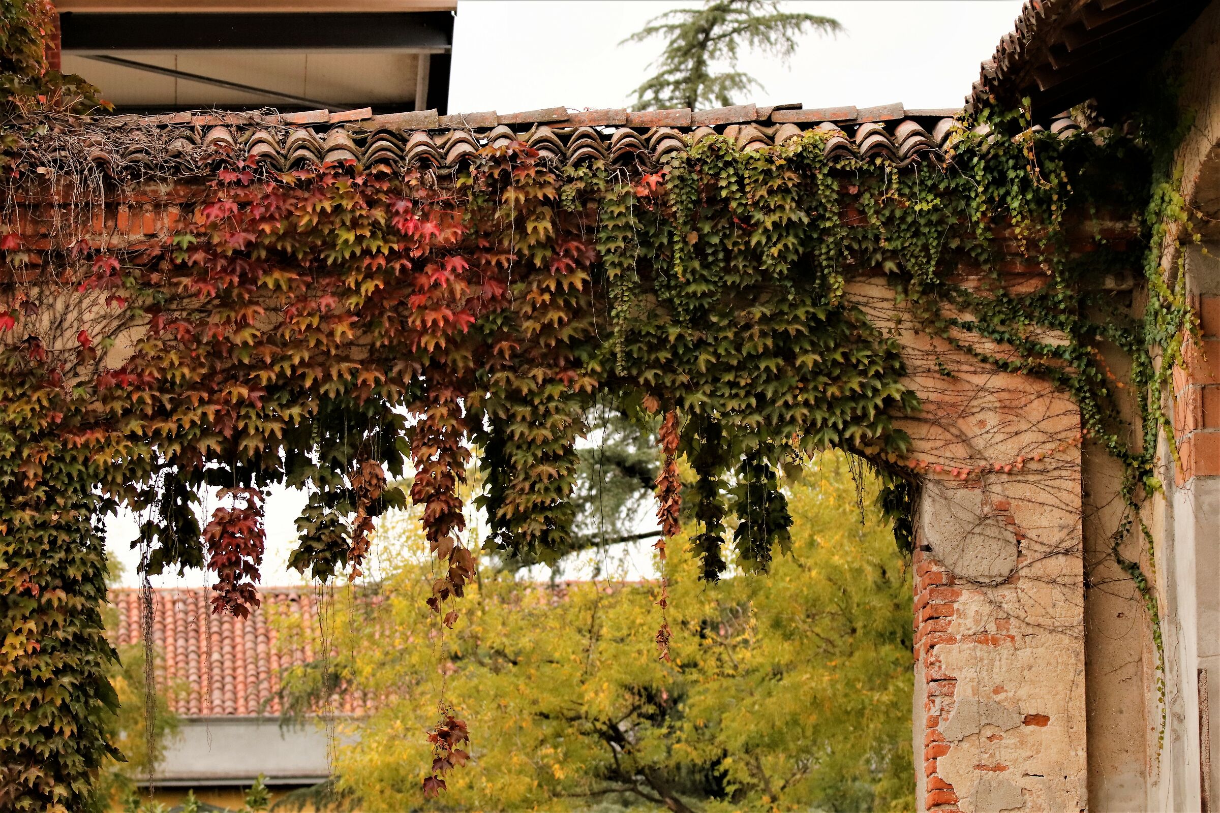 autunno alle "porte"