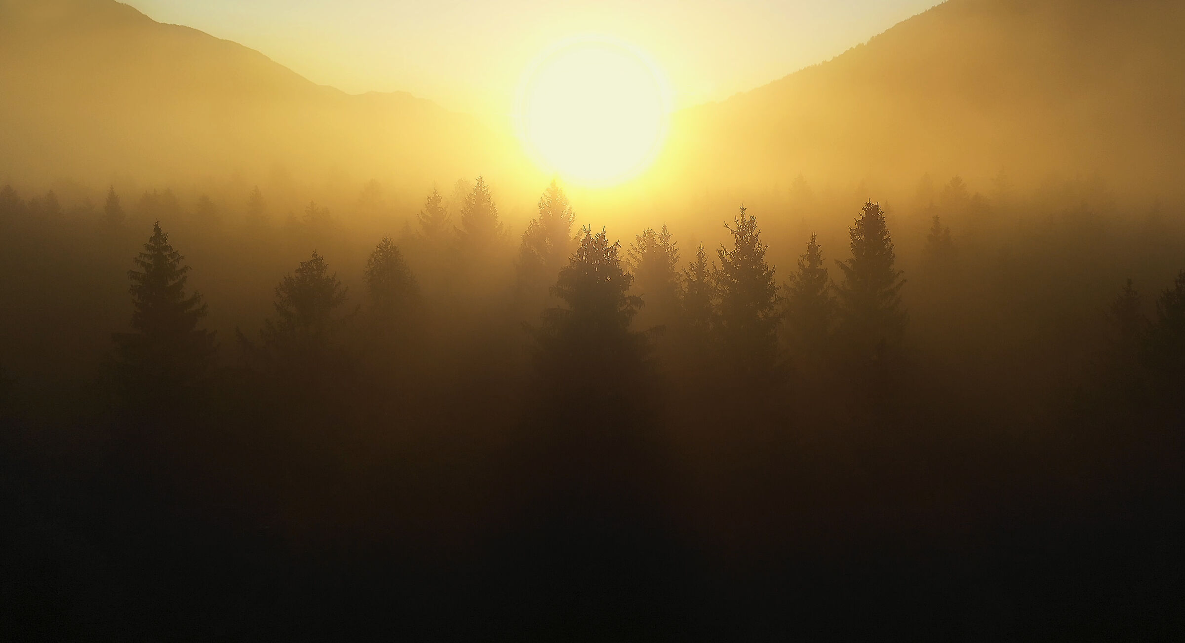 Attraverso la nebbia