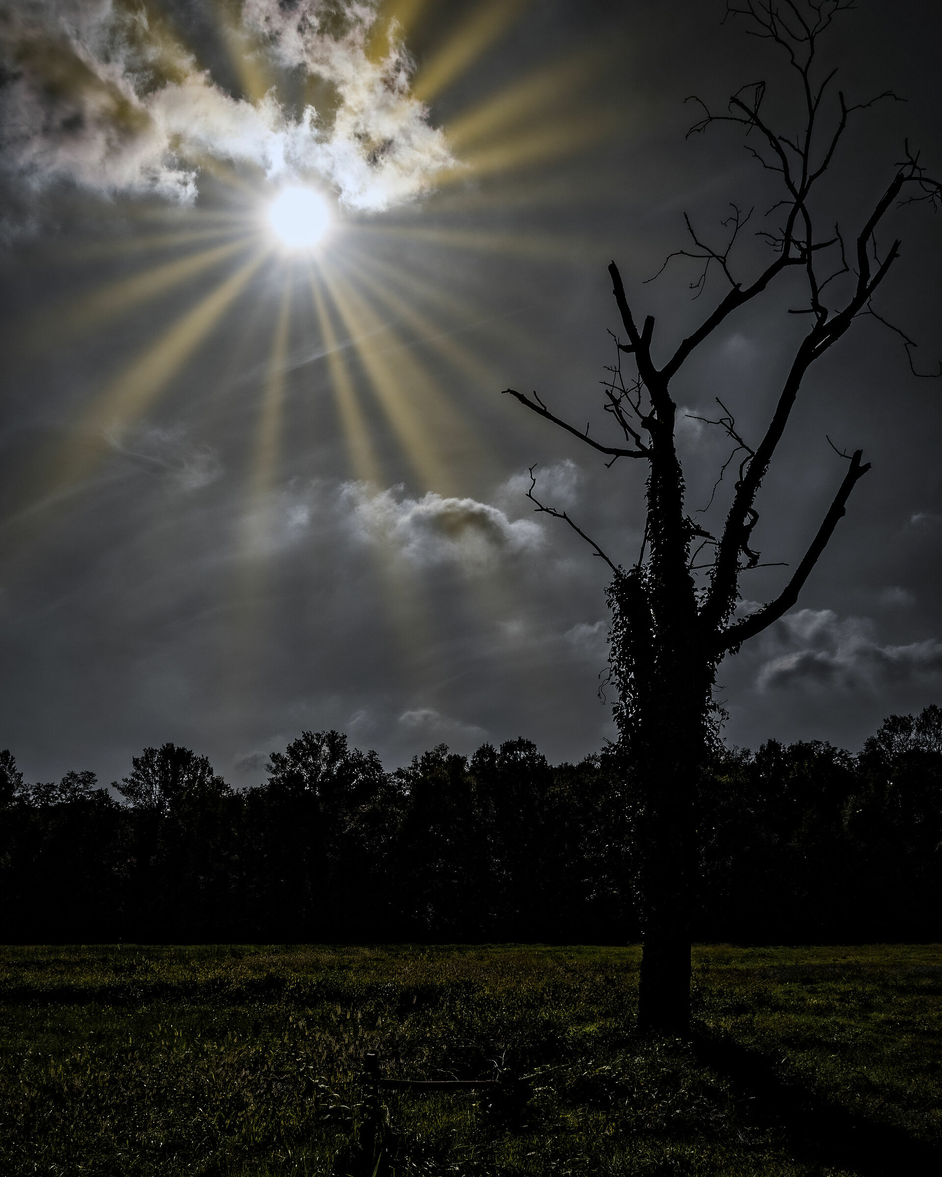 La morte e la vita non cambiano mai.............