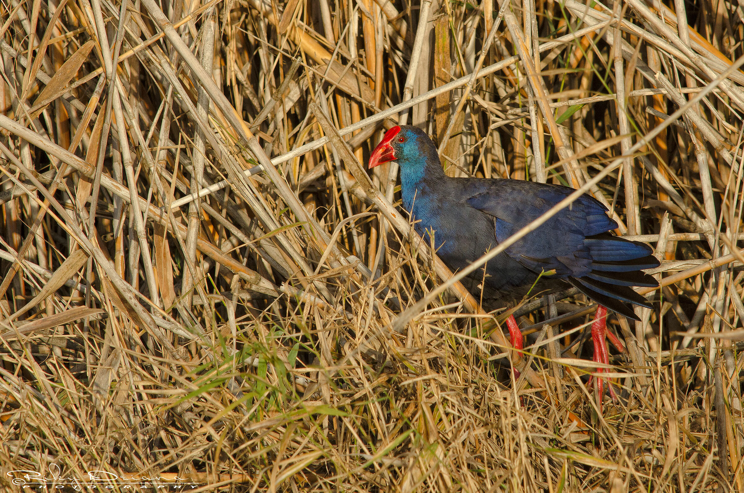 Stretching mattutino