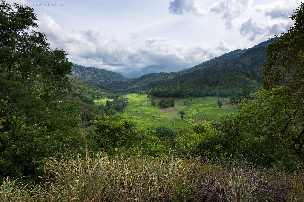 Fields around Nuwara Eliya