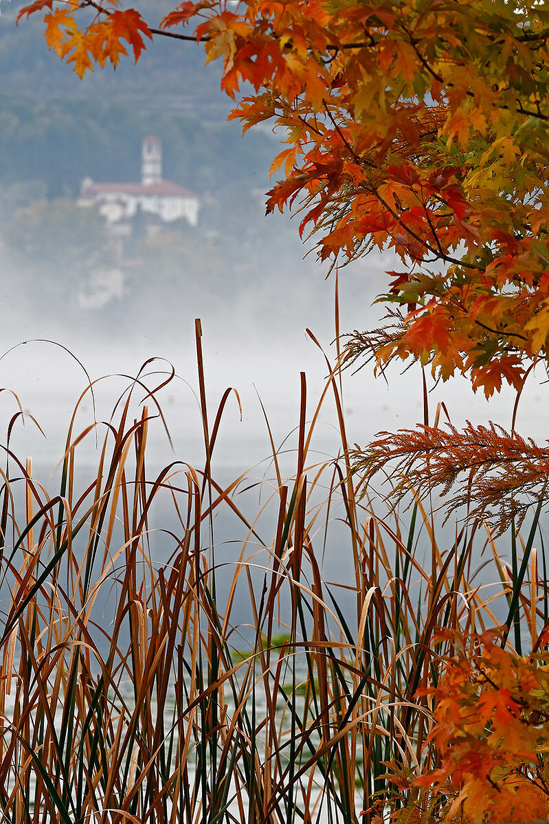 lago di Comabbio - inizio autunno