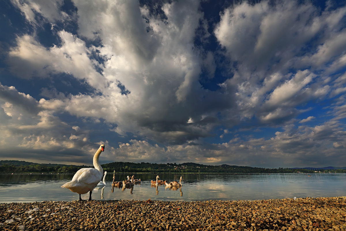 Lago di Varese