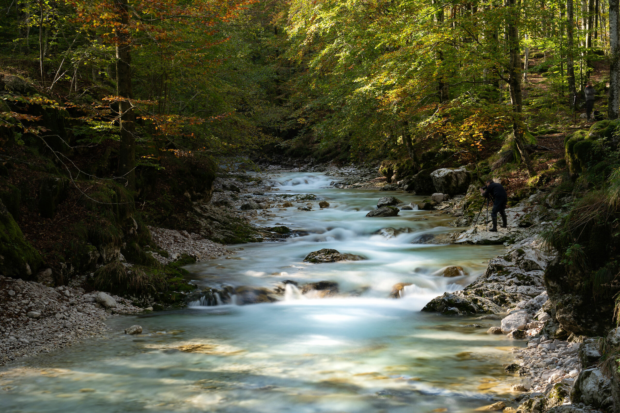 torrente Arzino (10 secondi immobile)