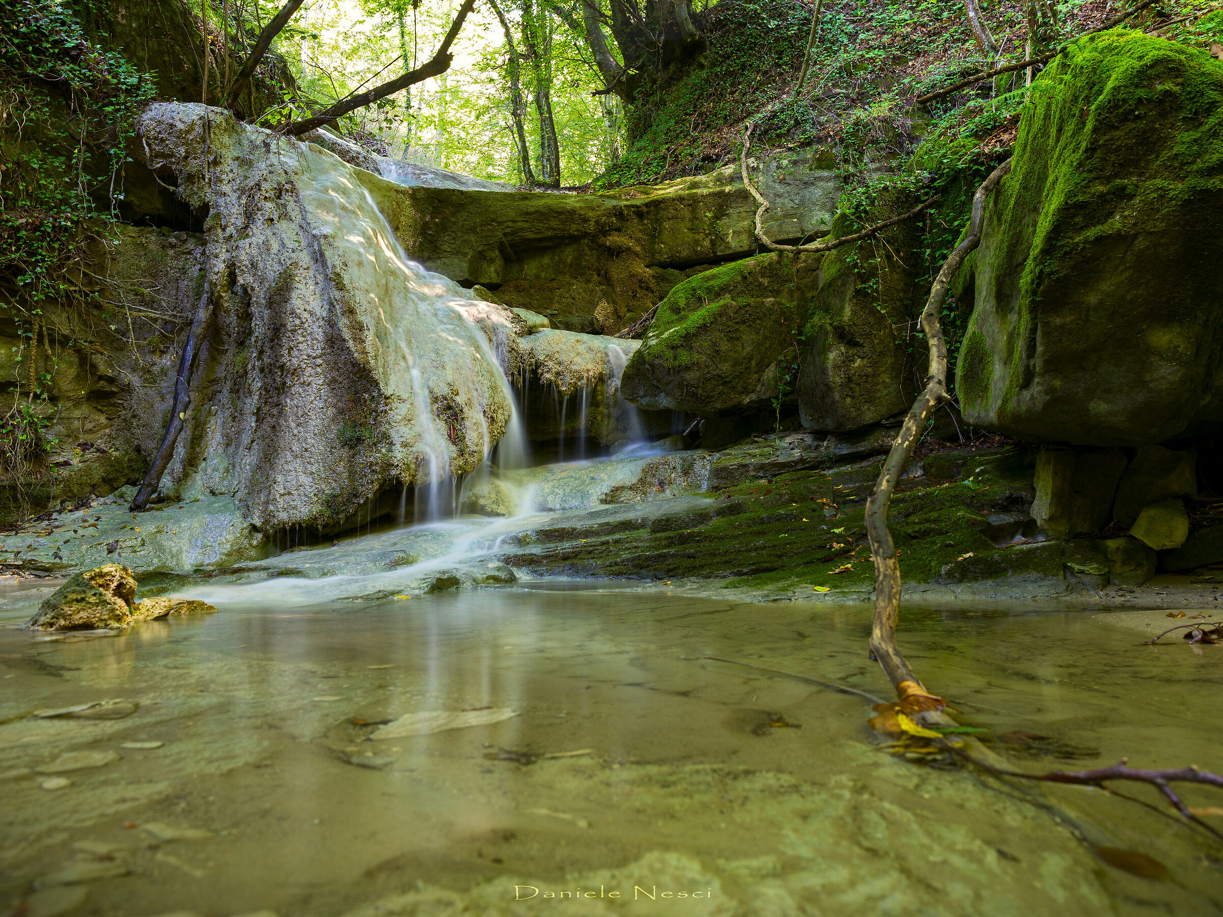 Dove l' uomo non arriva a distruggere.