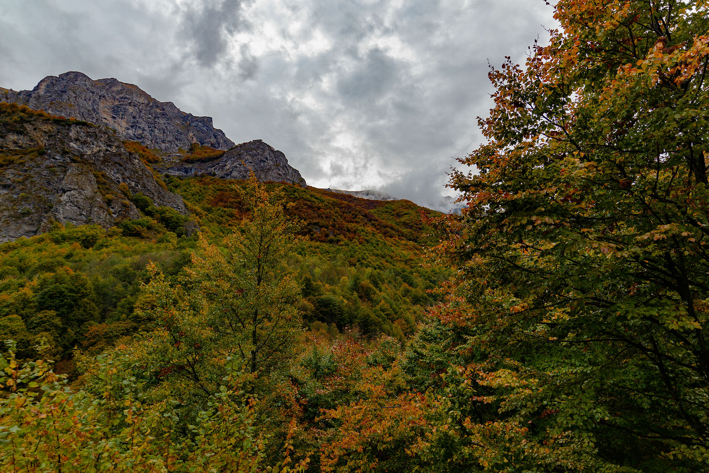 L'autunno incombe