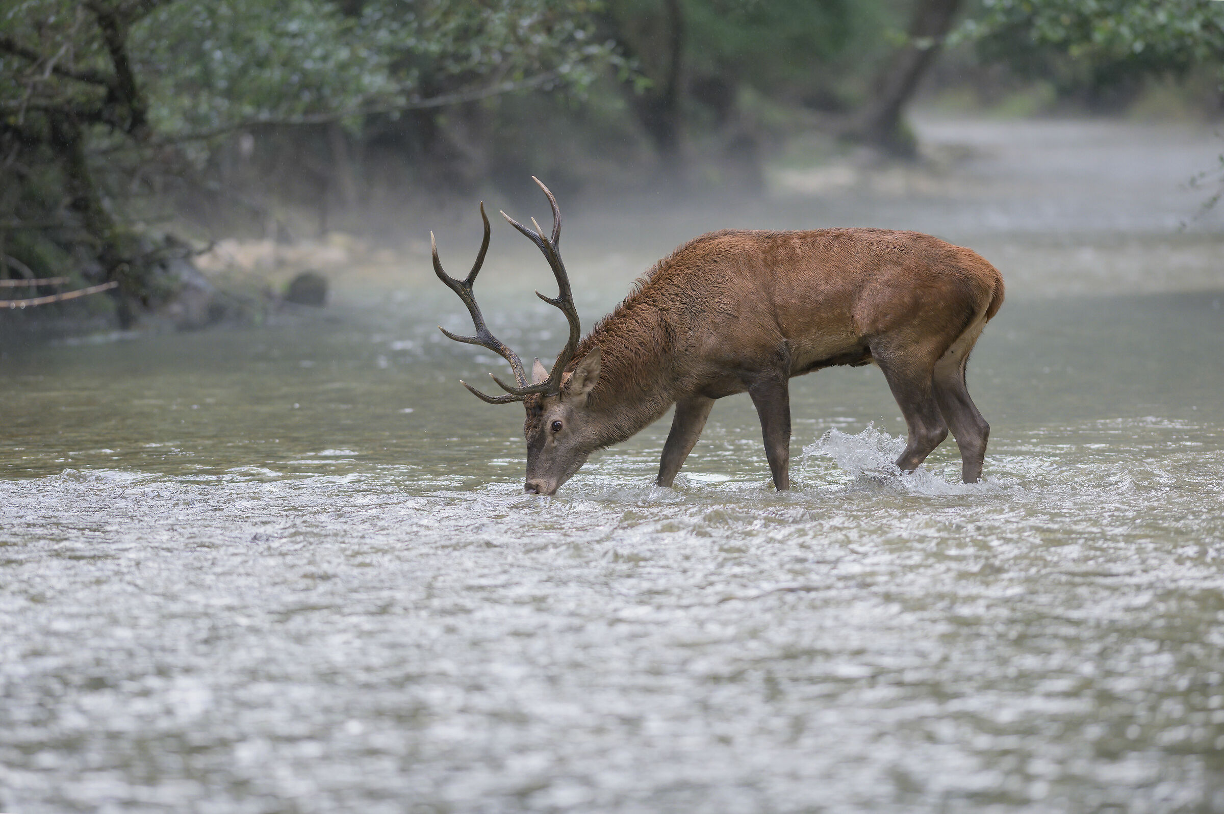 Un sorso d'acqua fresca