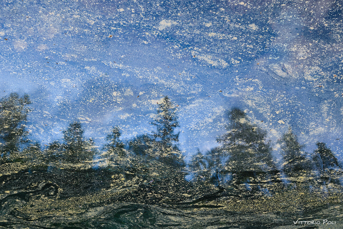 Emerald Forest, New Hampshire