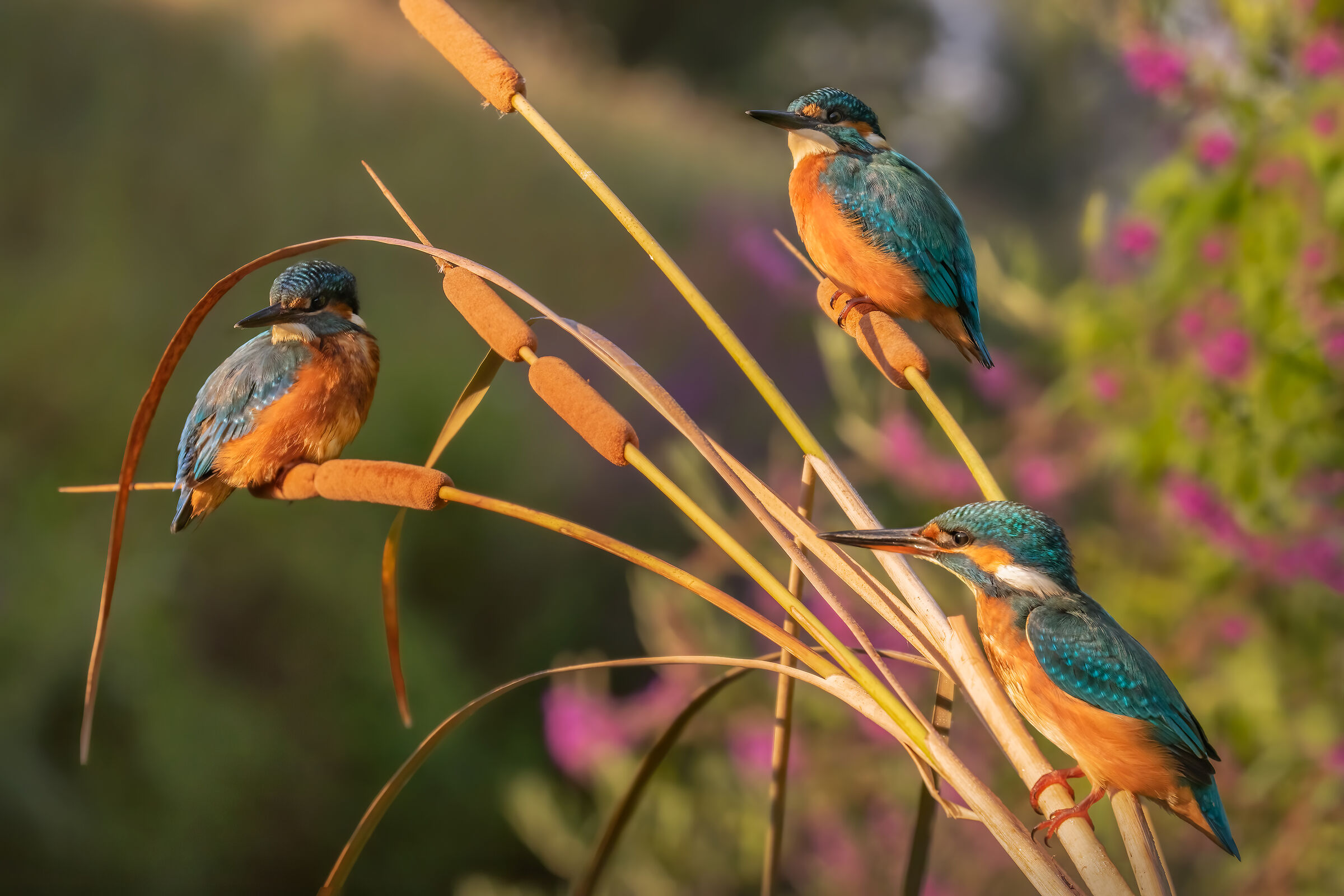 ..famiglia al completo..