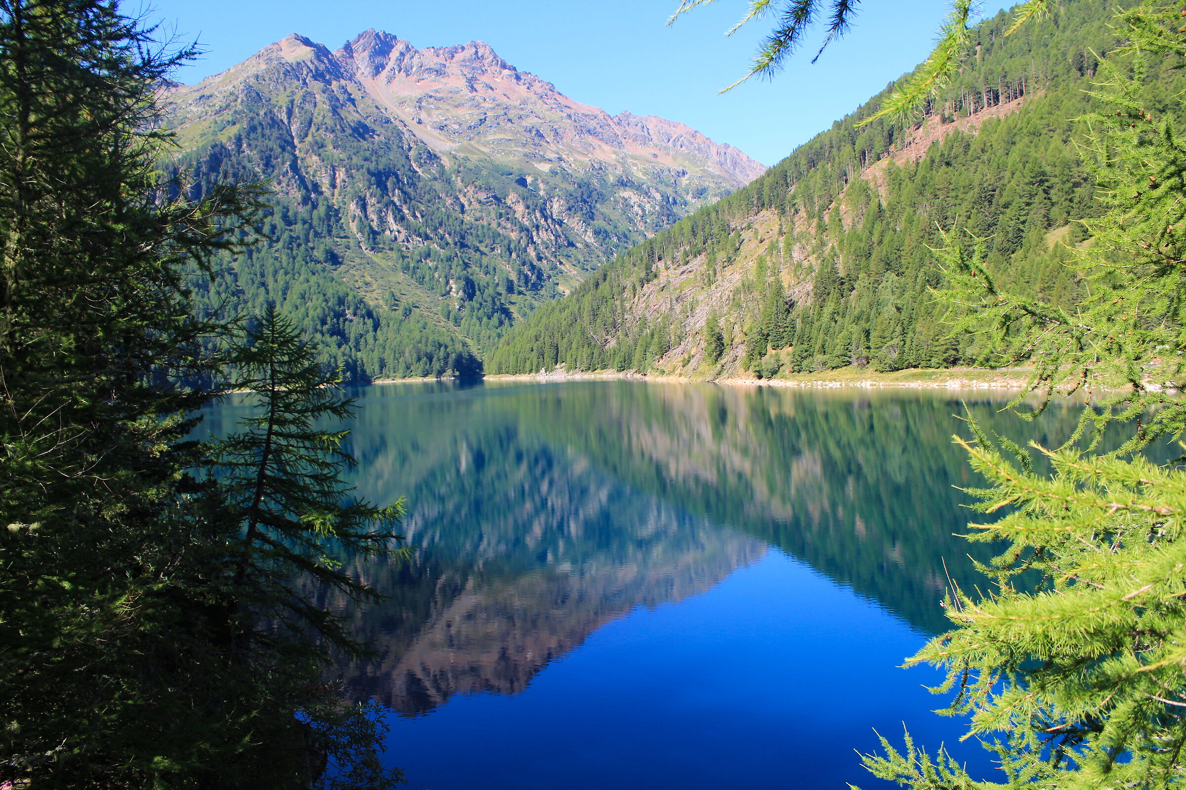 Trentino, Lago di Pian Palù
