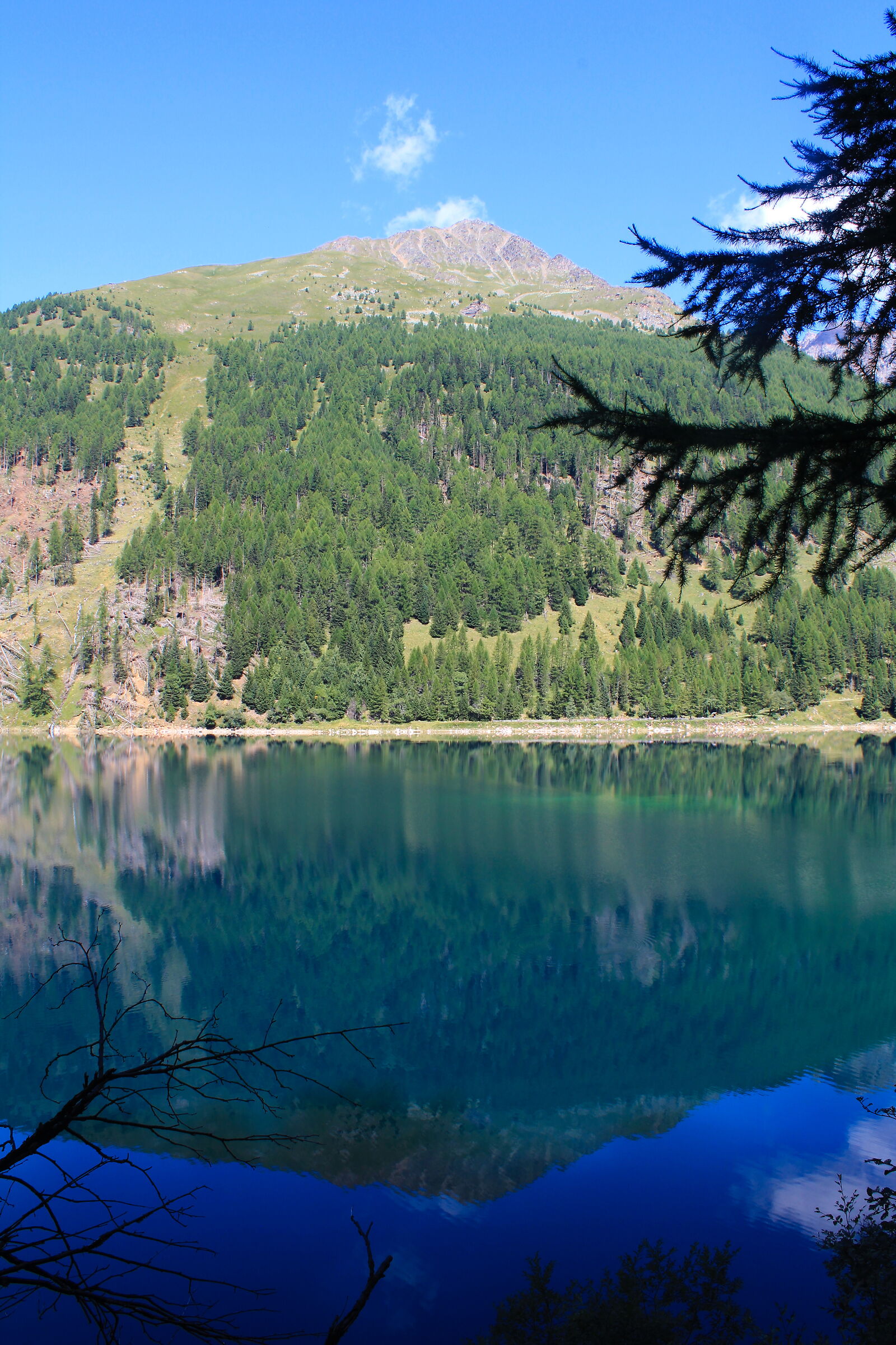 Trentino, Lago di Pian Palù