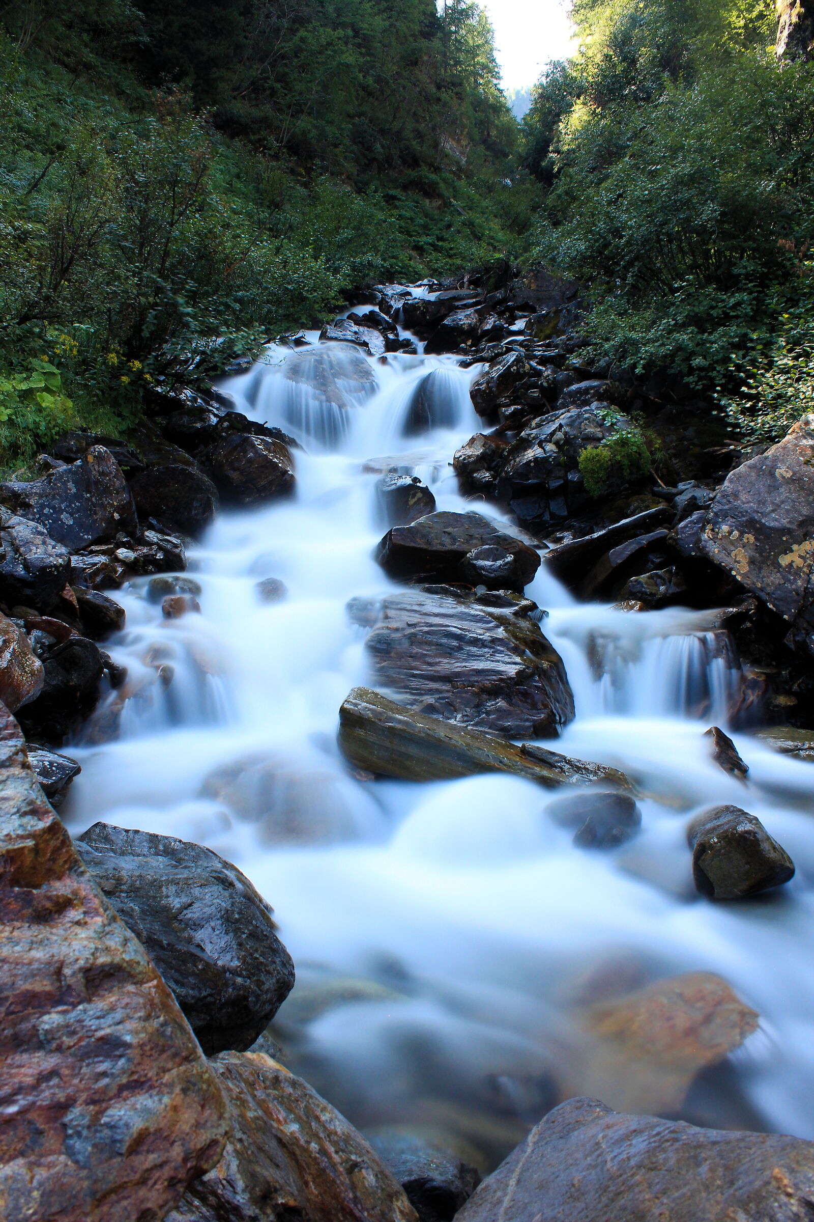 Trentino, Torrente al lago di Pian Palù