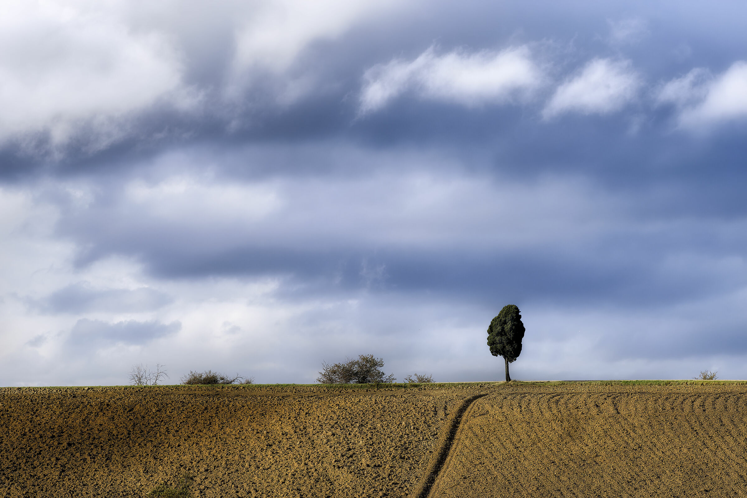 Alberino (Orciano Pisano)