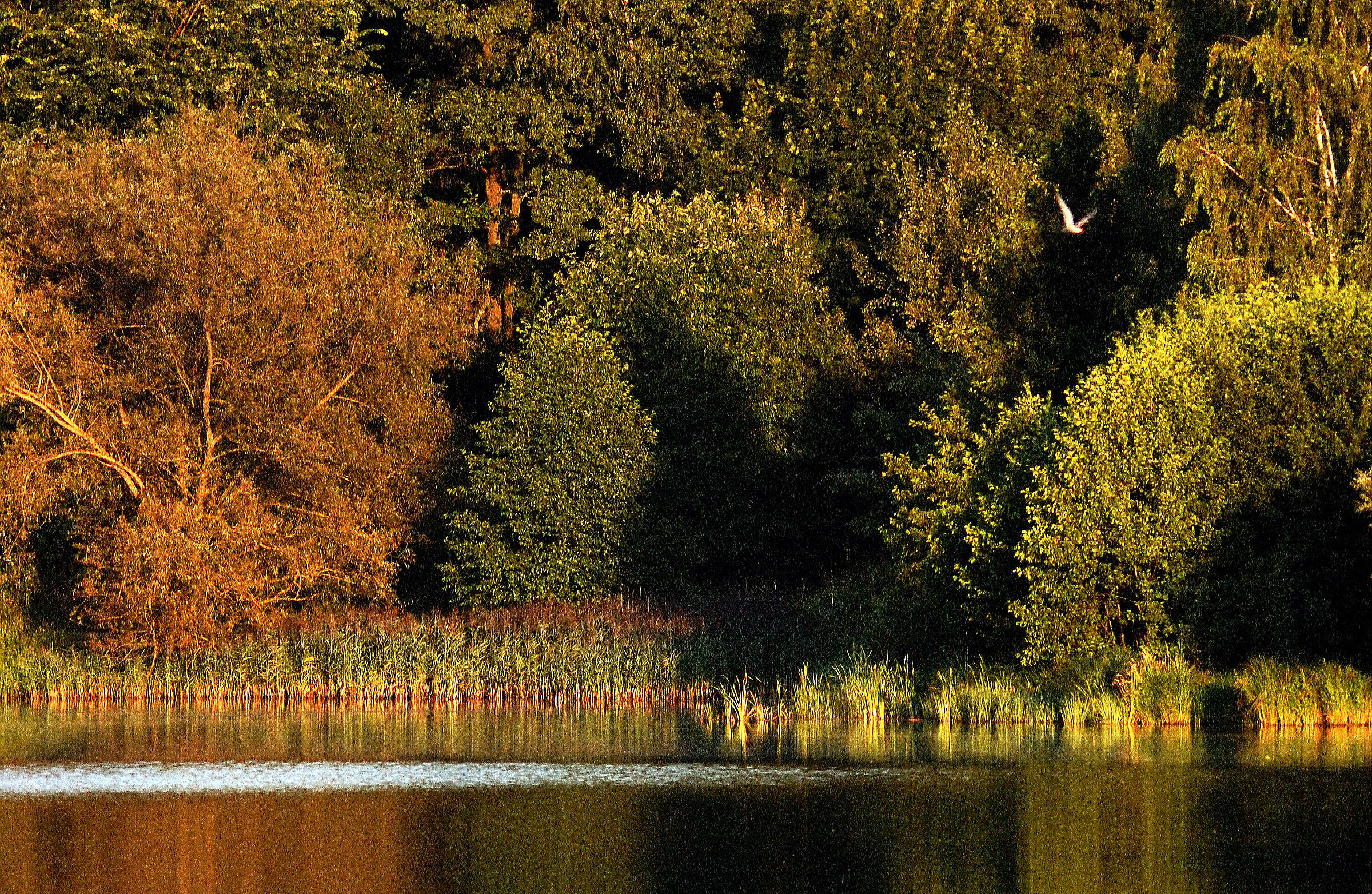 Ancora un giorno dall'estate passata