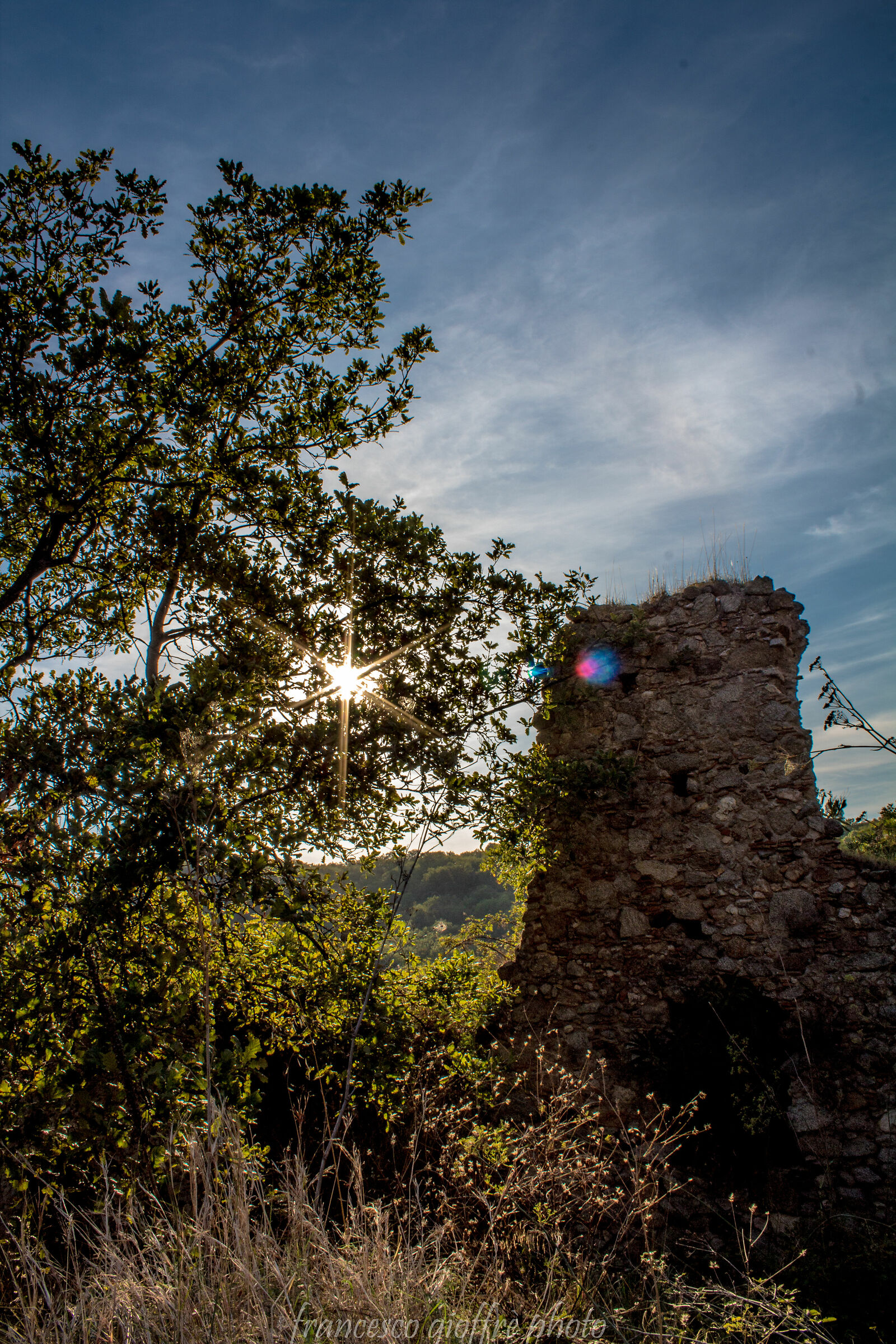 Come il sole è una stella