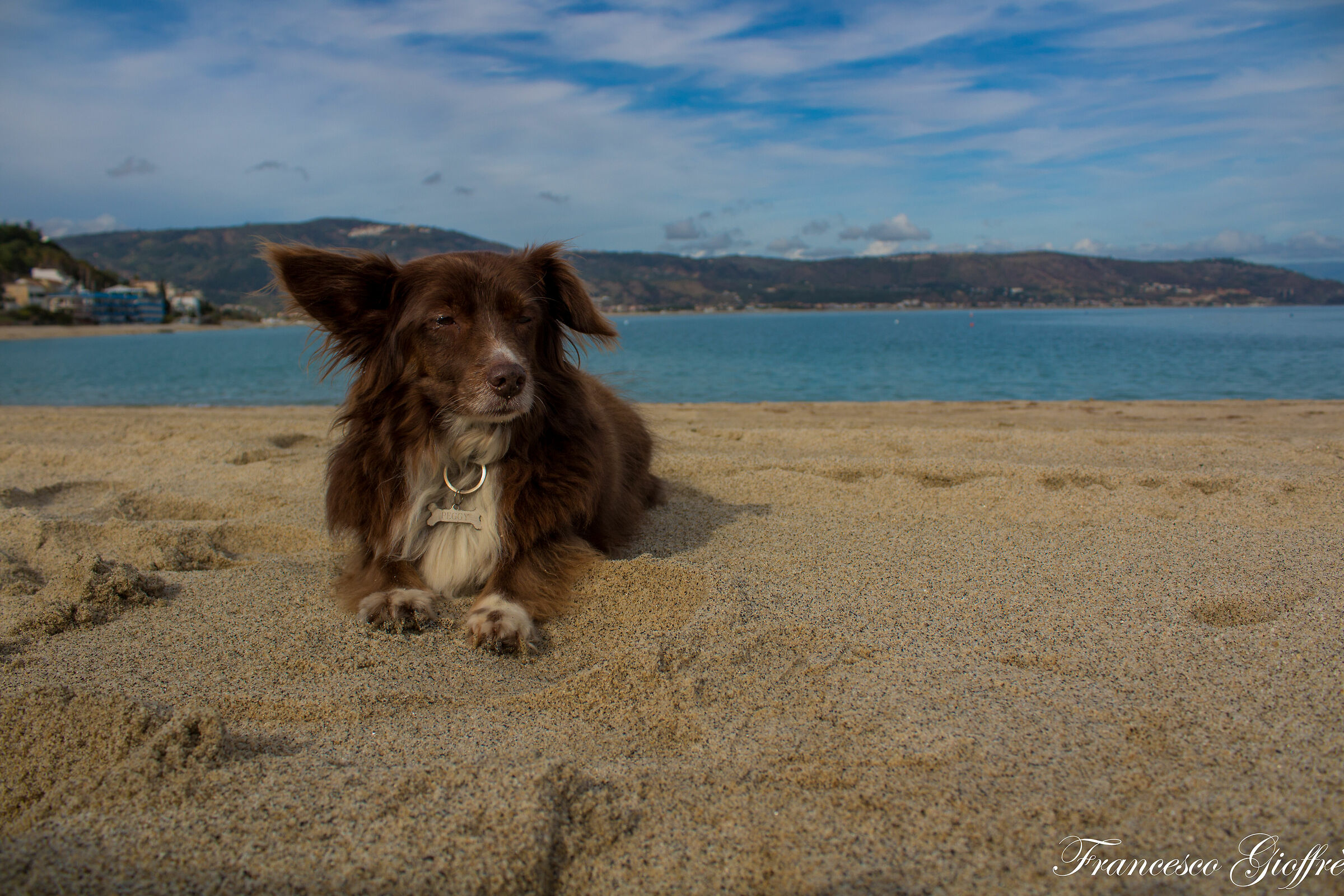 Ah che bello il mare!