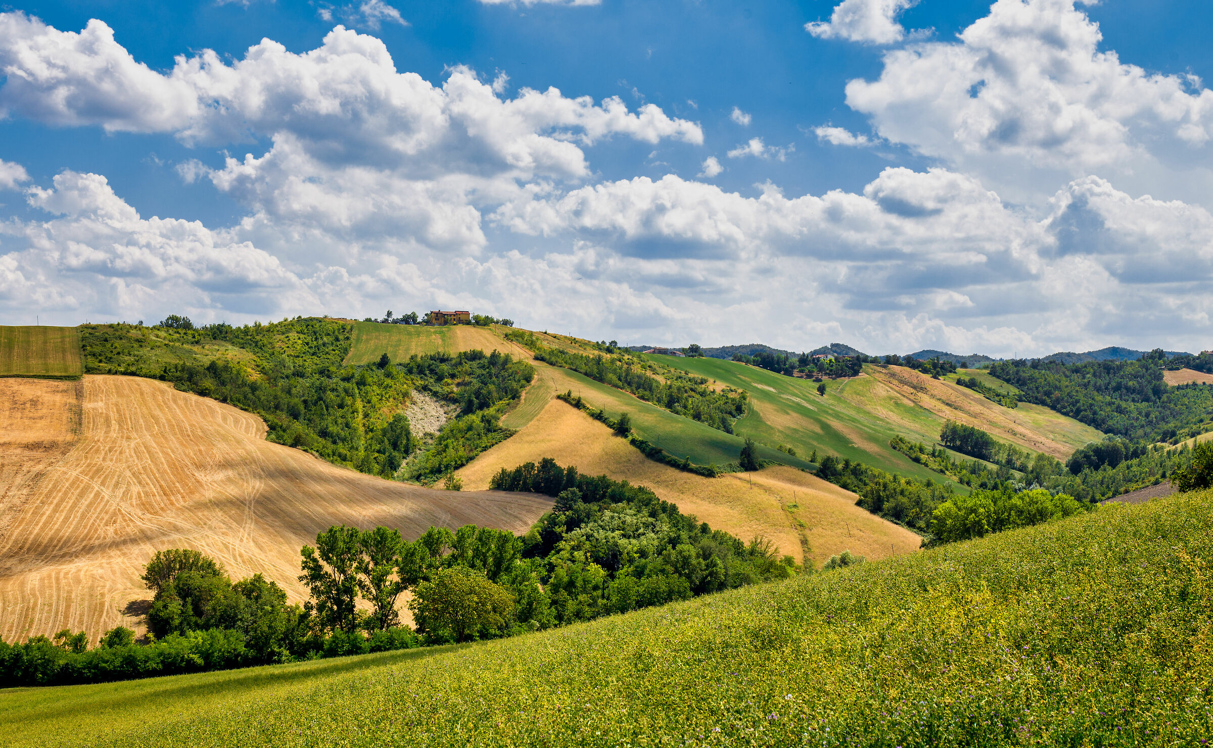 More Emilia than Romagna