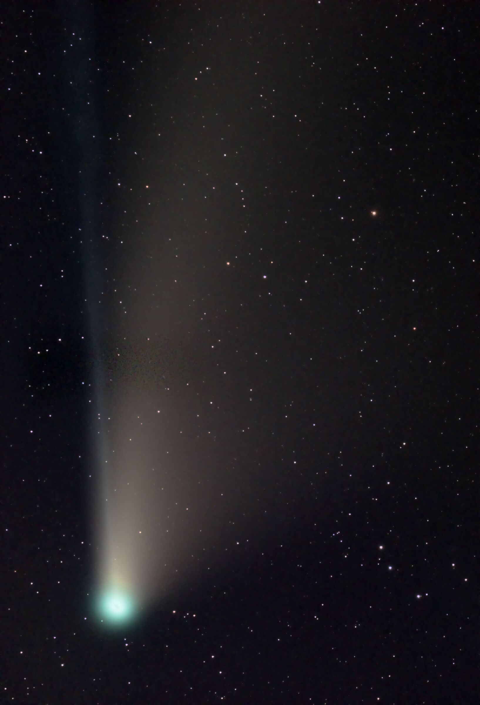 Cometa neowise 2020