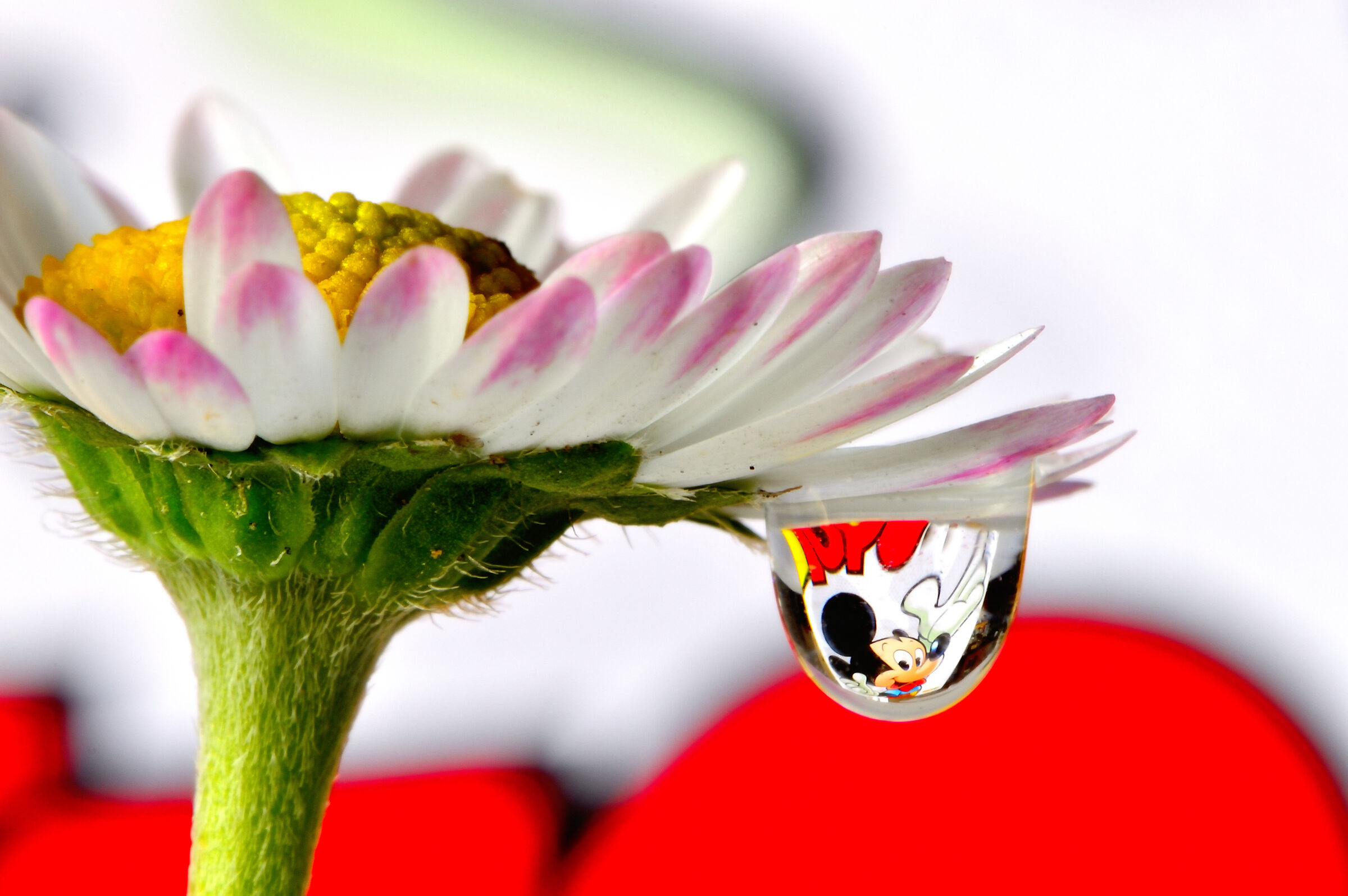 Fantastic Mickey Mouse