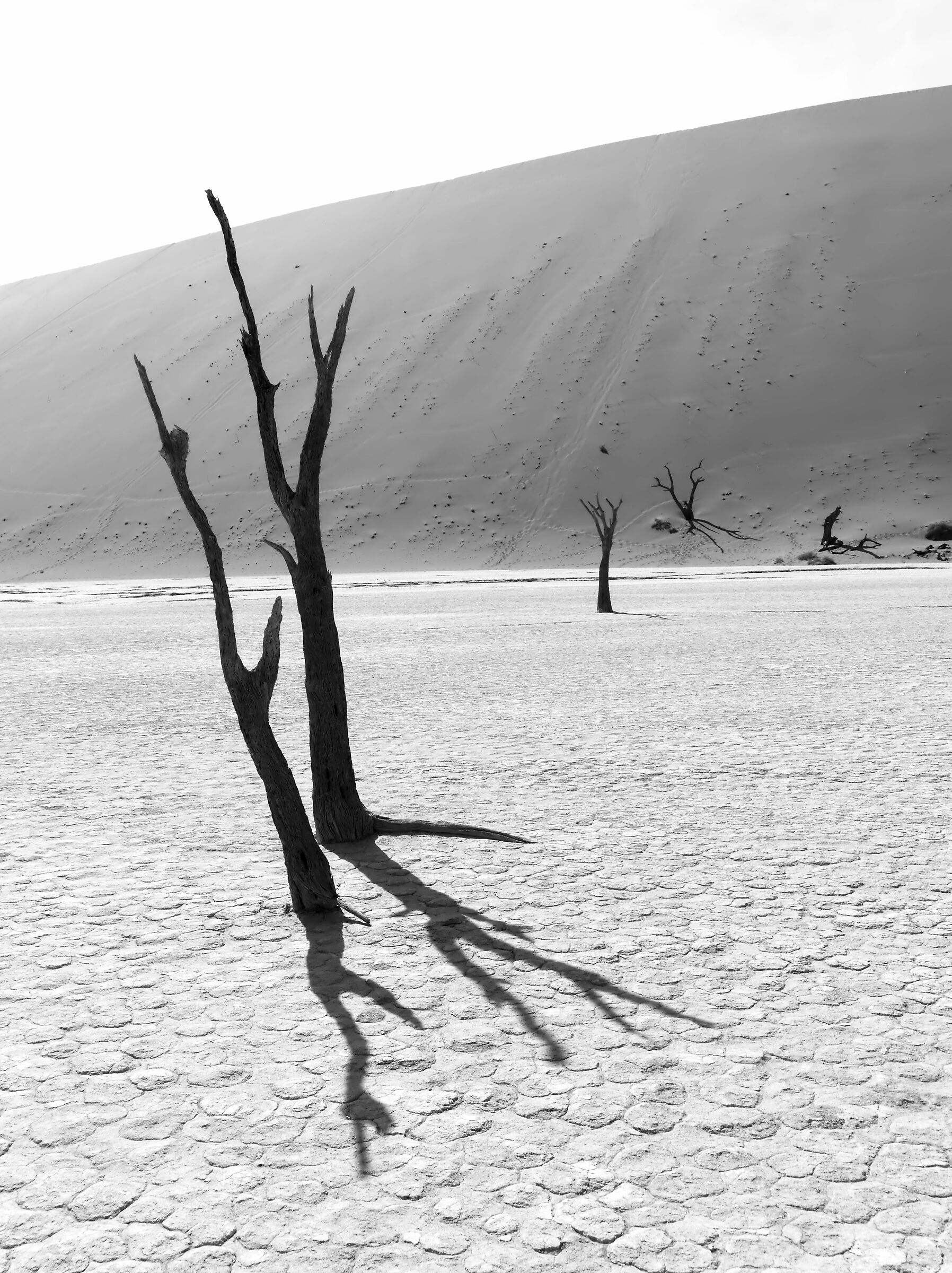 Deadvlei