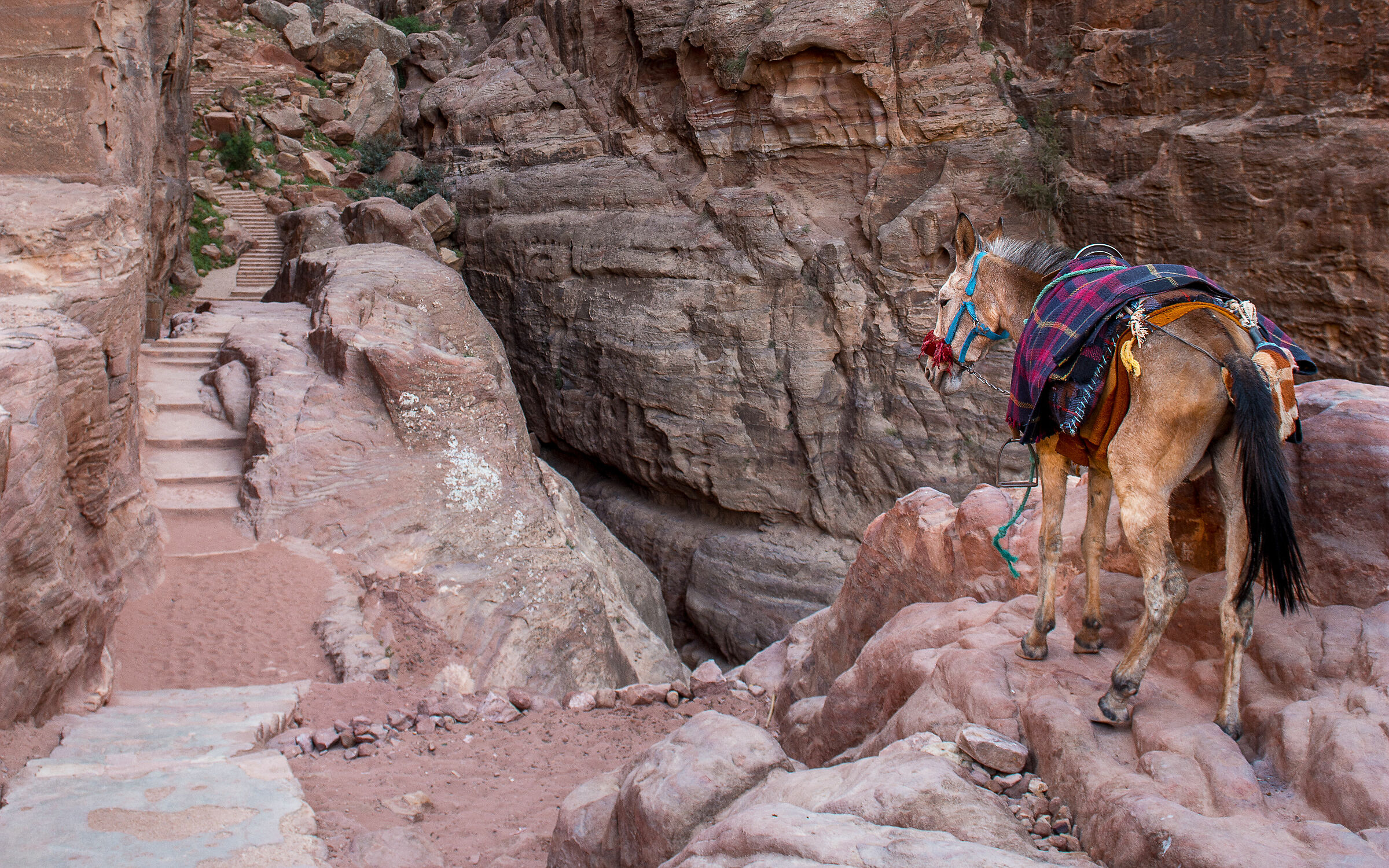 On the way to the treasure