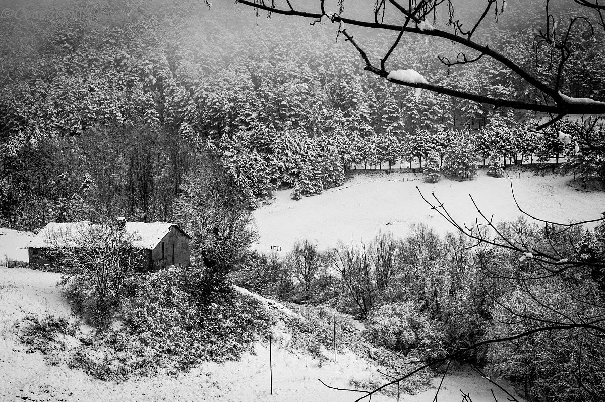 isolated in the snow