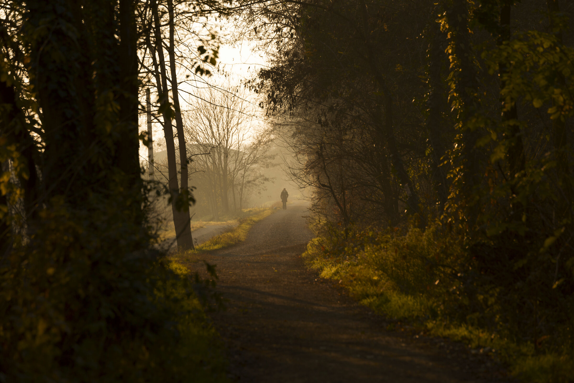 Prove generali di autunno